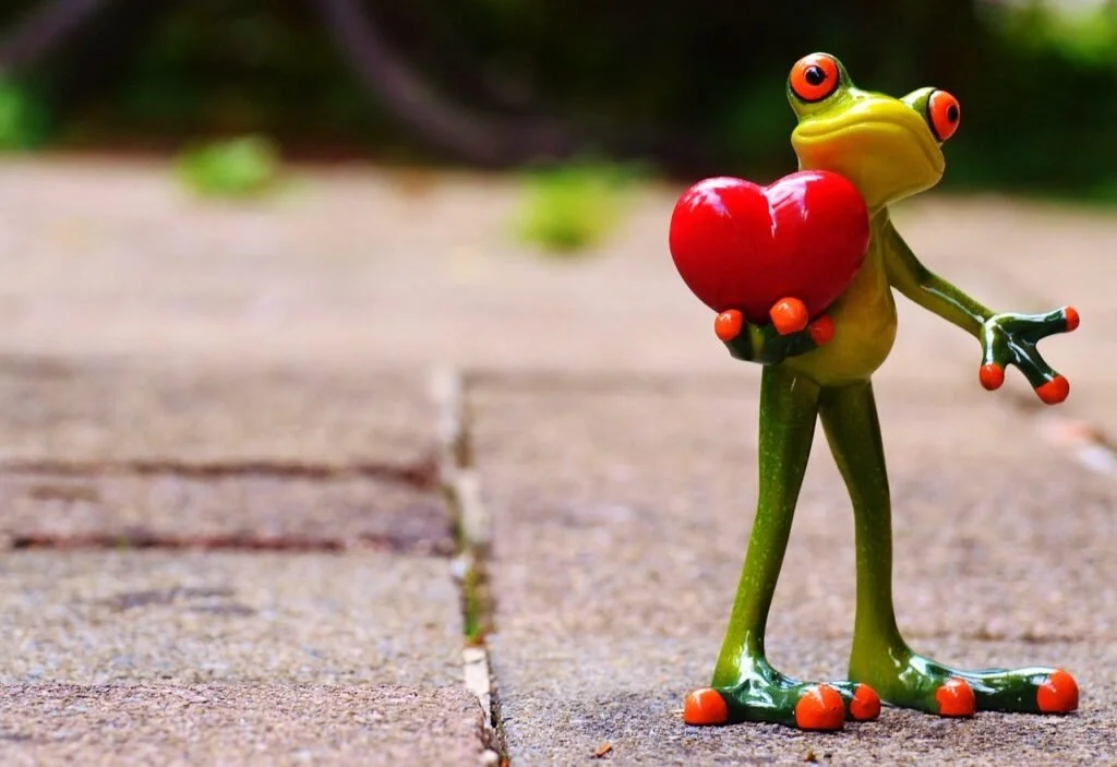 Rockin Healthy Vibes - a frog holding a heart asking that readers share my blogs with others
