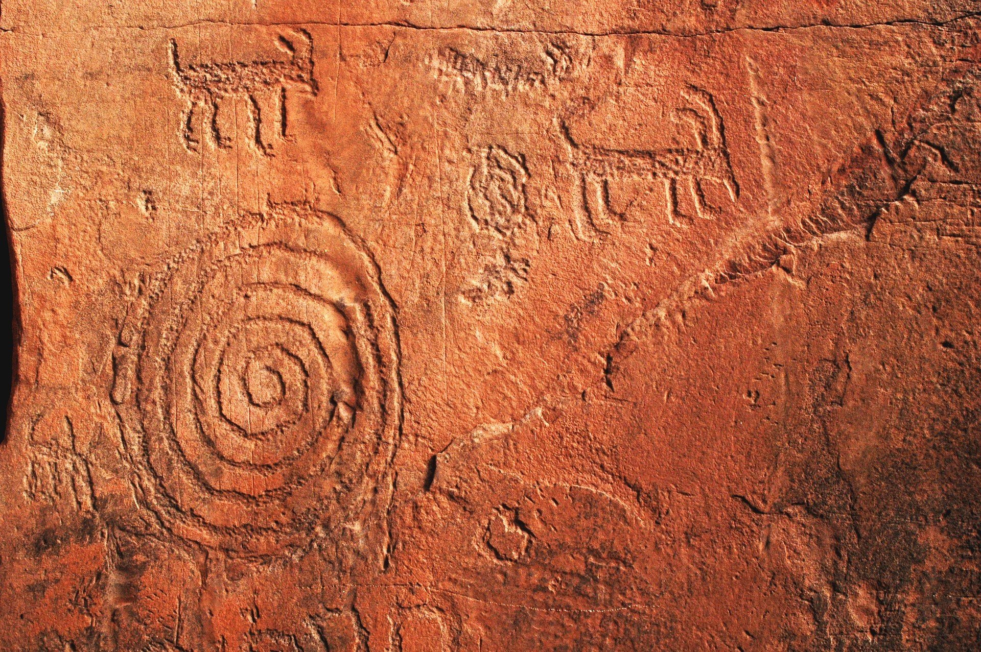 Sedona AZ travel blog - the petroglyphs found at Palatki Heritage Site are cave drawings, like art