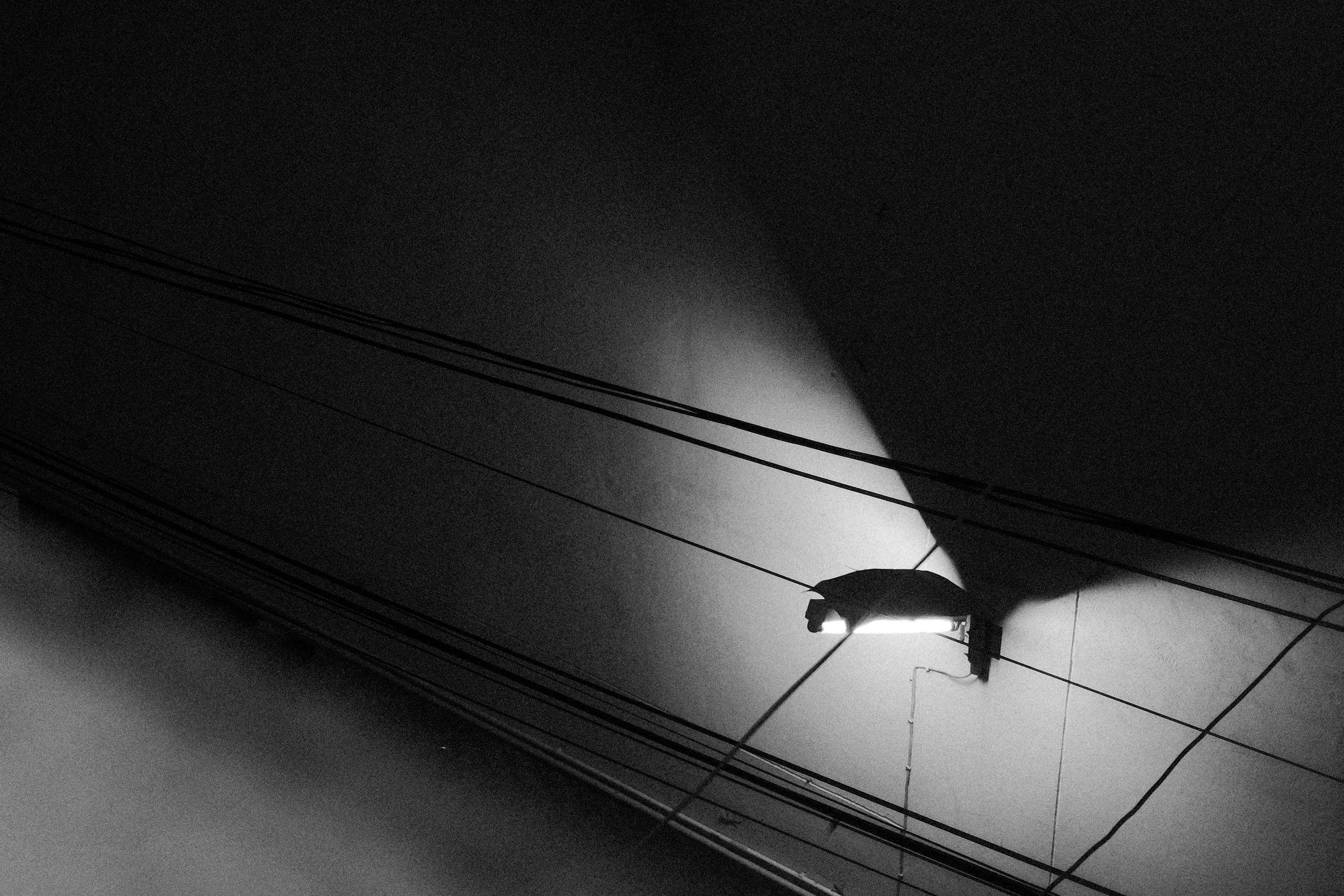 Black and white photo of a streetlamp illuminating a building's wall at night, with overhead electrical wires crossing in front of the light.