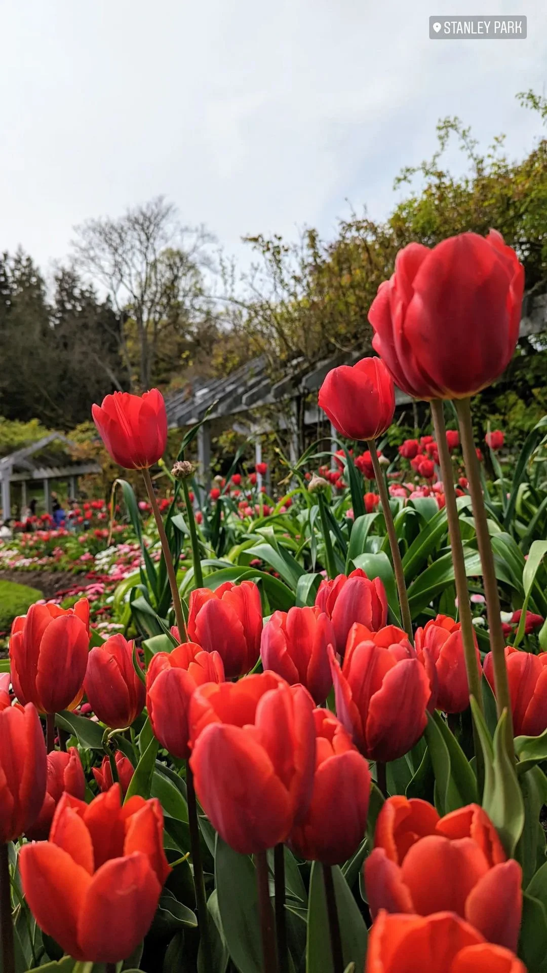 A Journey With The Pixel 6 Pro