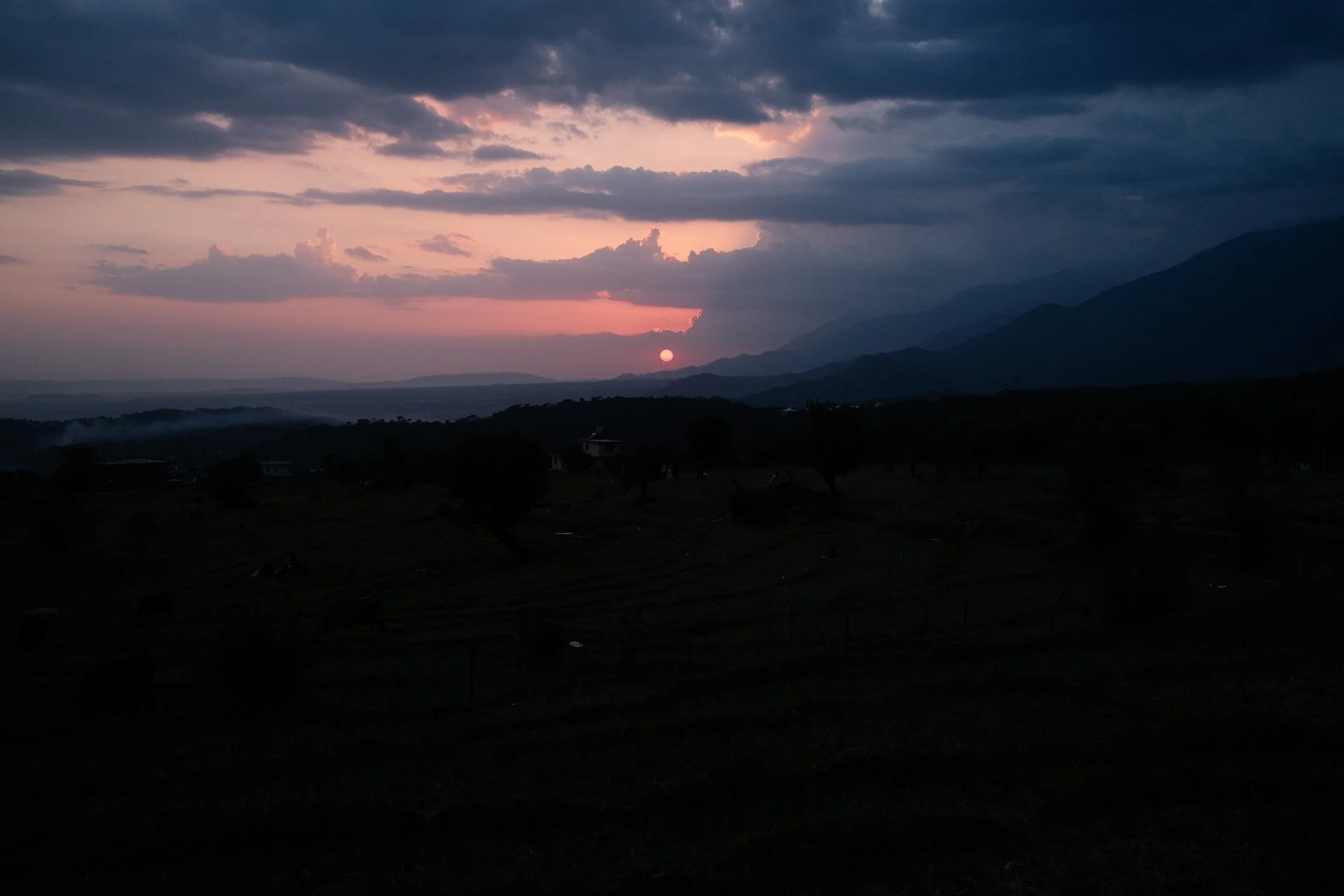 DSCF1674.jpg