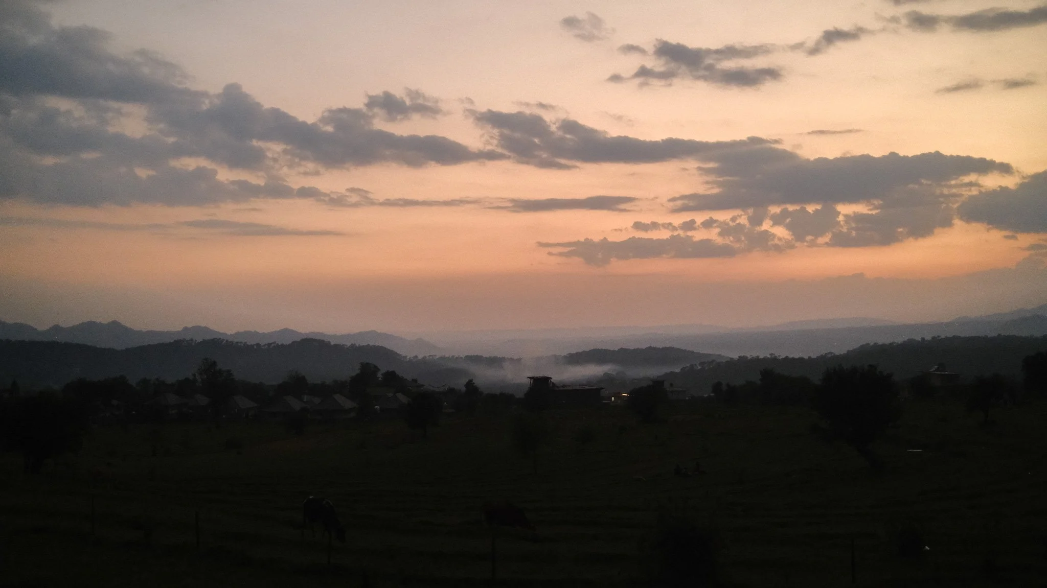 DSCF1747.jpg