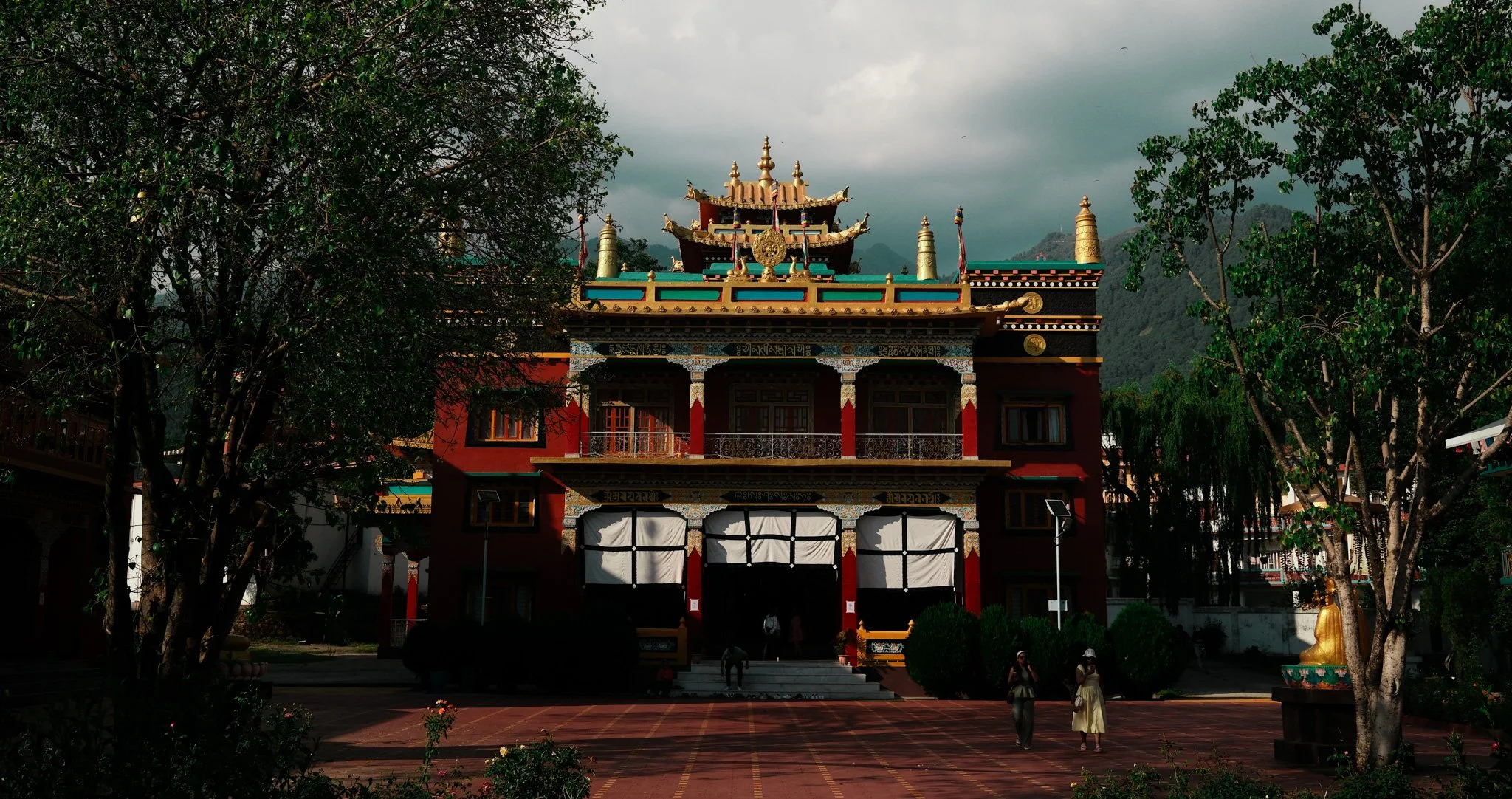 DSCF1548.jpg