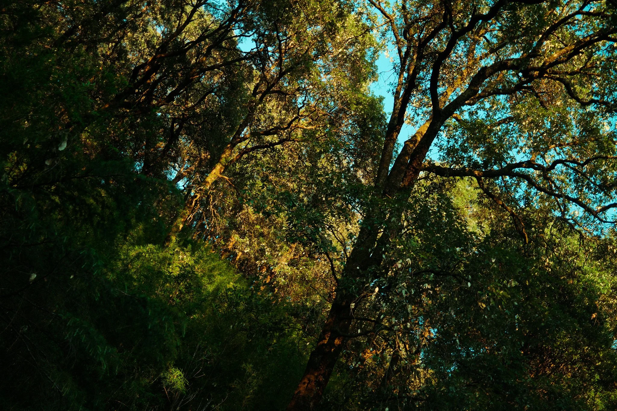 DSCF0309.jpg