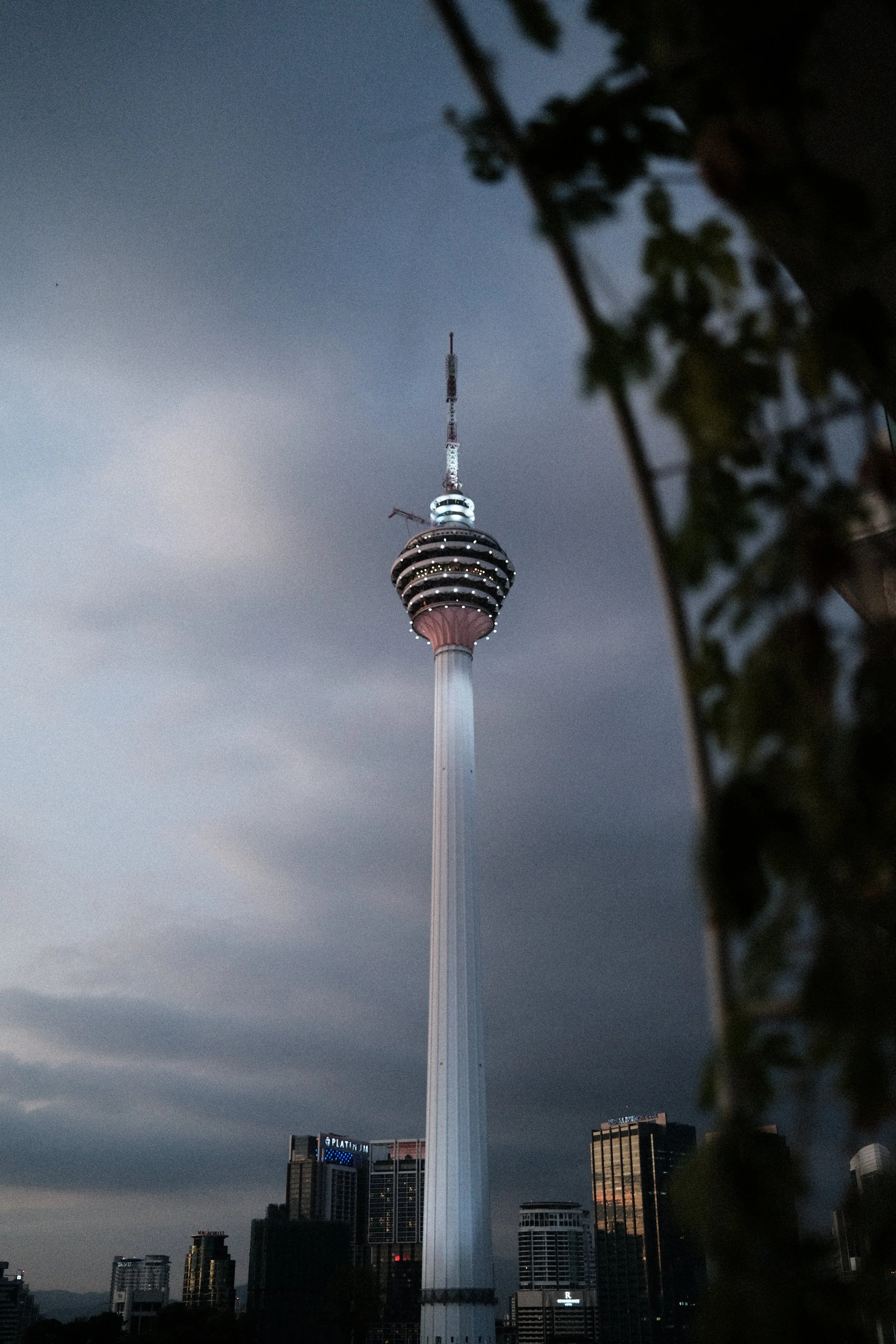 Kuala Lumpur Tower with a cloudy sky and city buildings in the background, partially obscured by tree branches in the foreground.