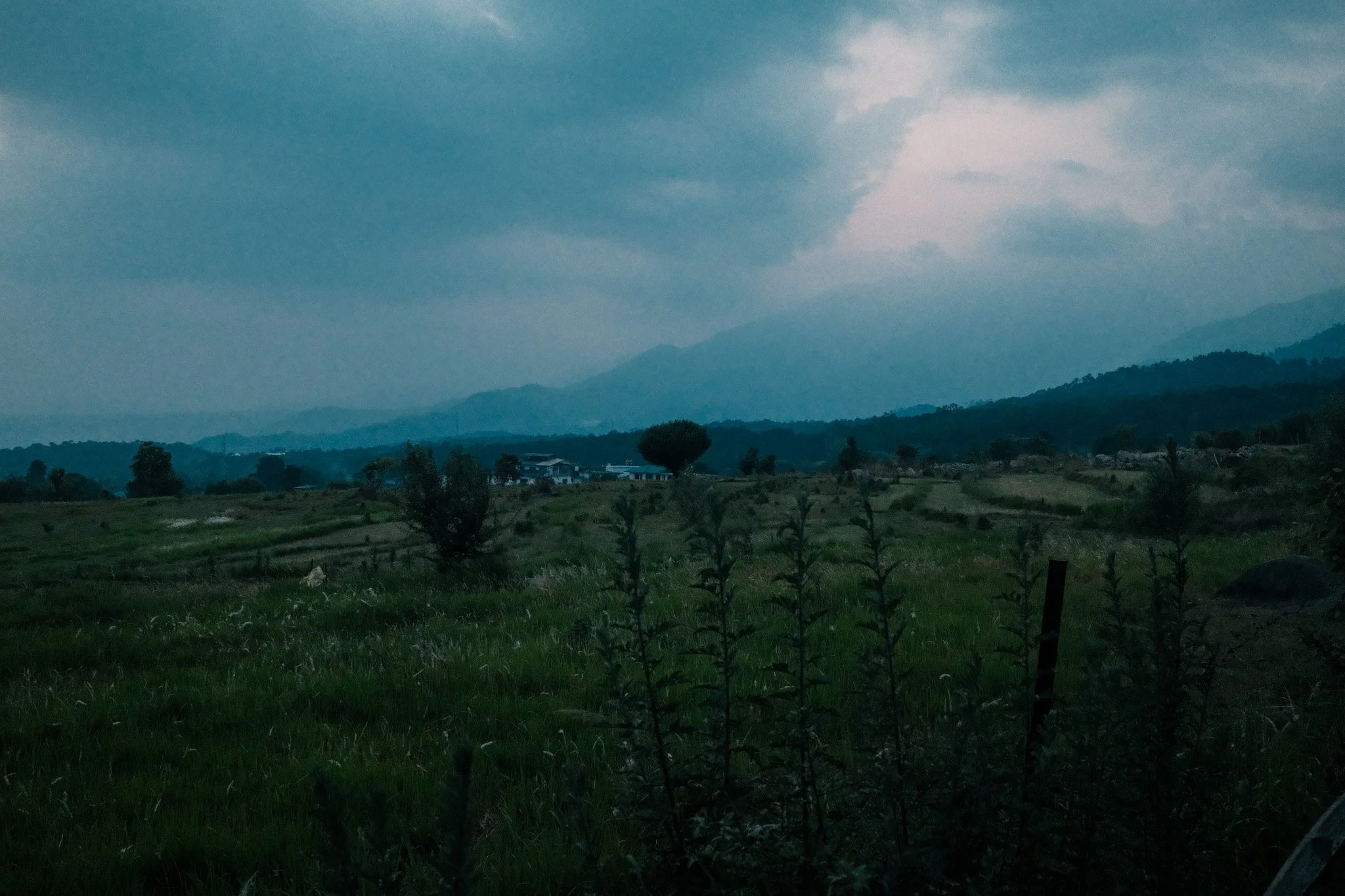 DSCF1344.jpg