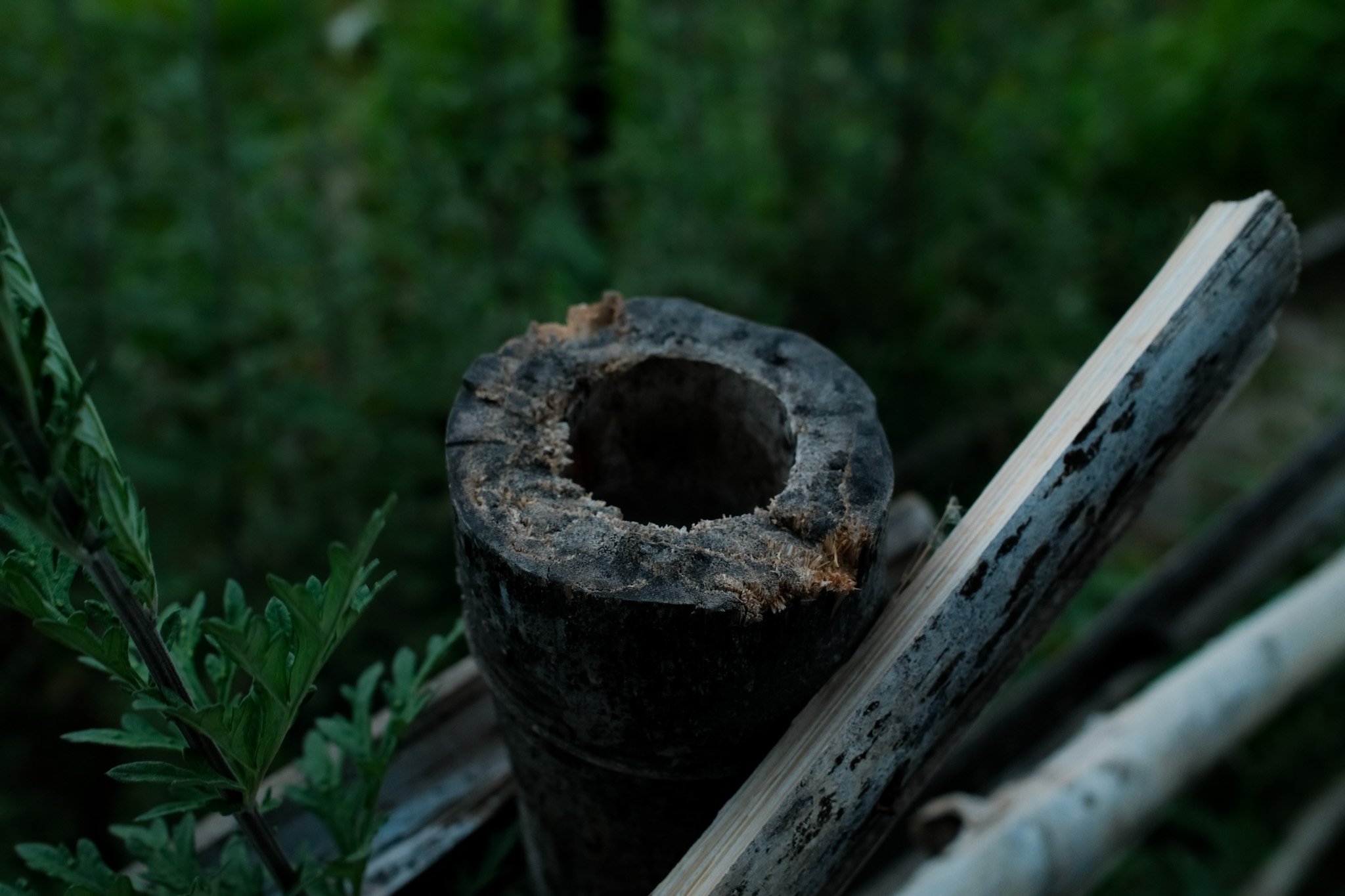 DSCF1349.jpg