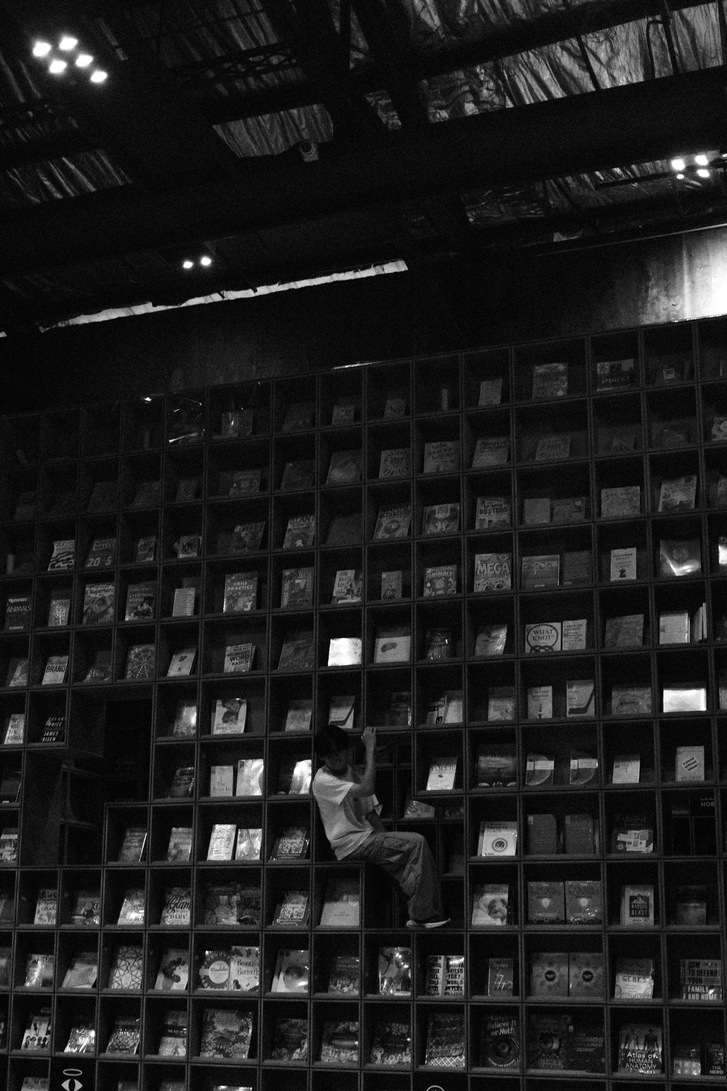 A child sitting on a bookshelf in a bookstore, surrounded by a variety of books.