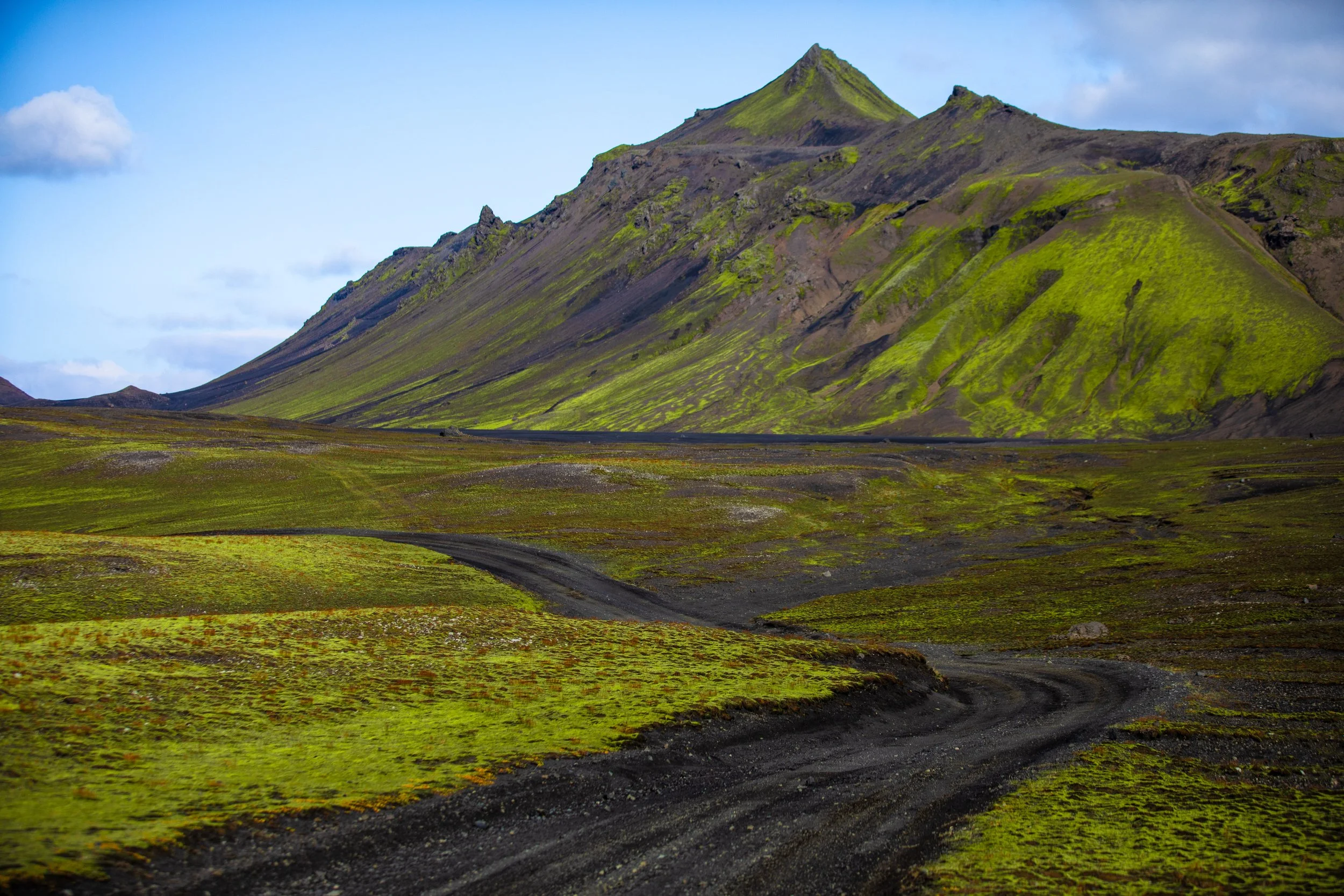 Moss Covered Volcanic Landscape in Iceland