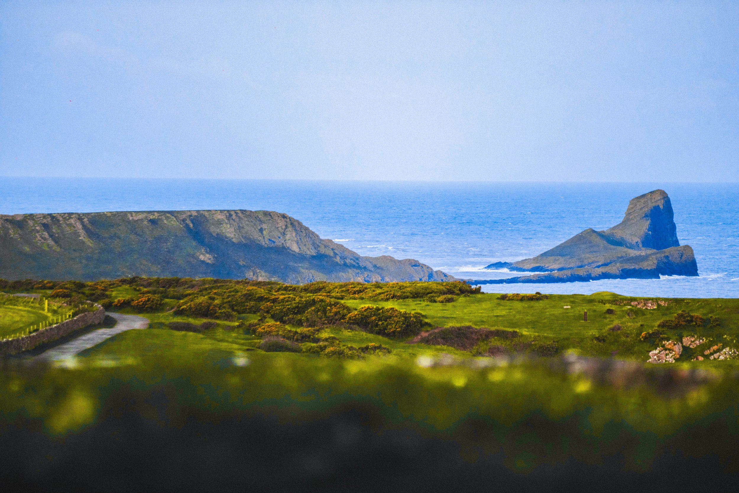 Bright green foreground guiding the viewer through a coastal landscape towards a rocky sea stack