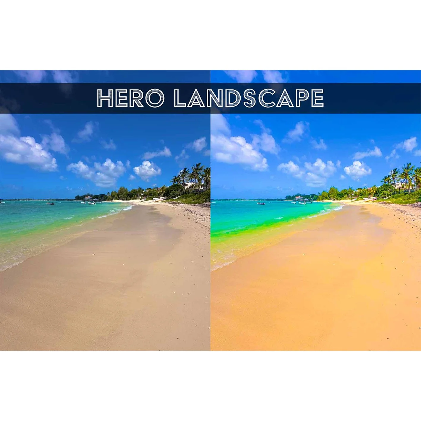 hero landscape square.jpg