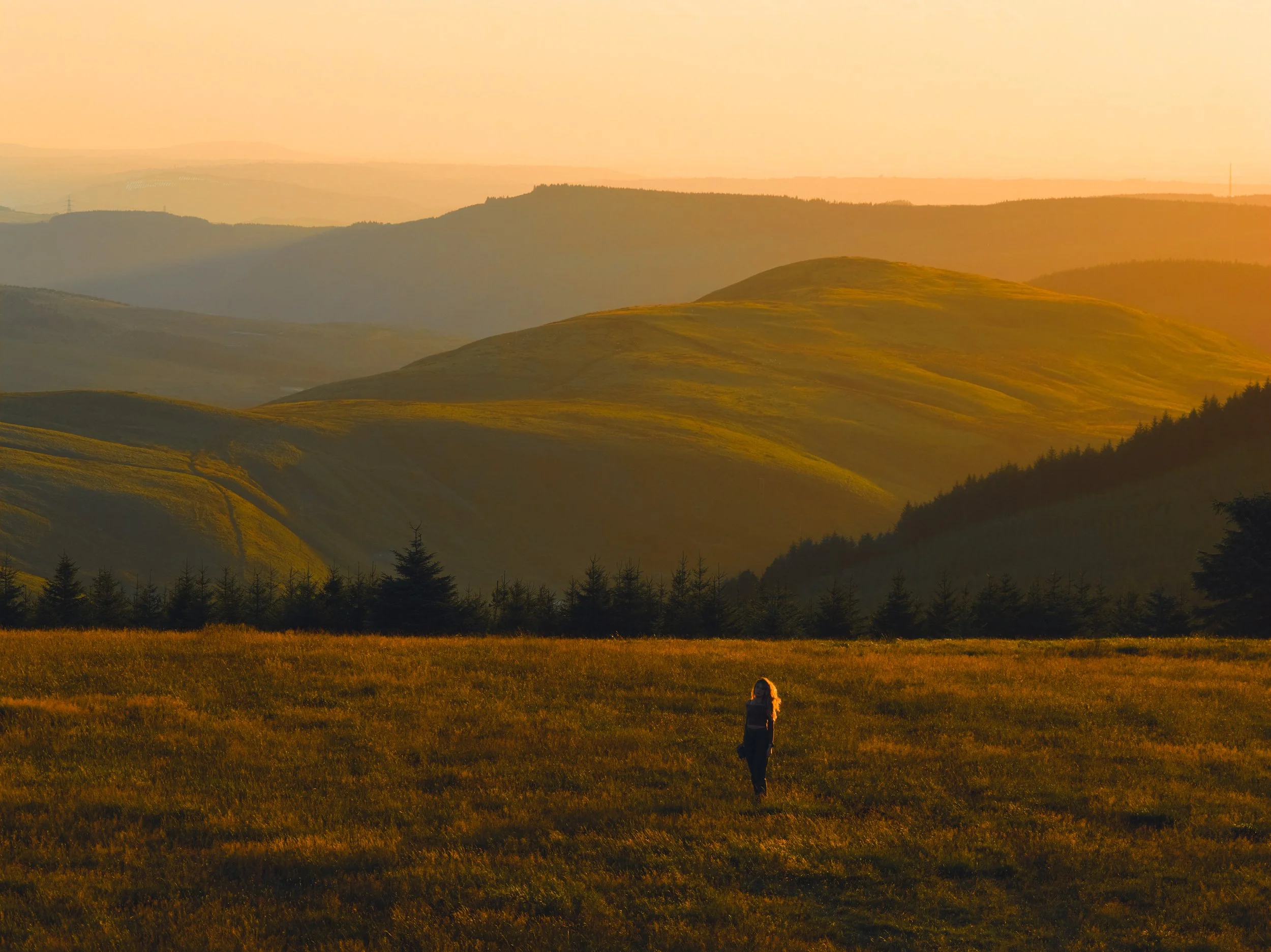 A person walking through a golden grassy field during sunset with rolling hills and trees in the background.