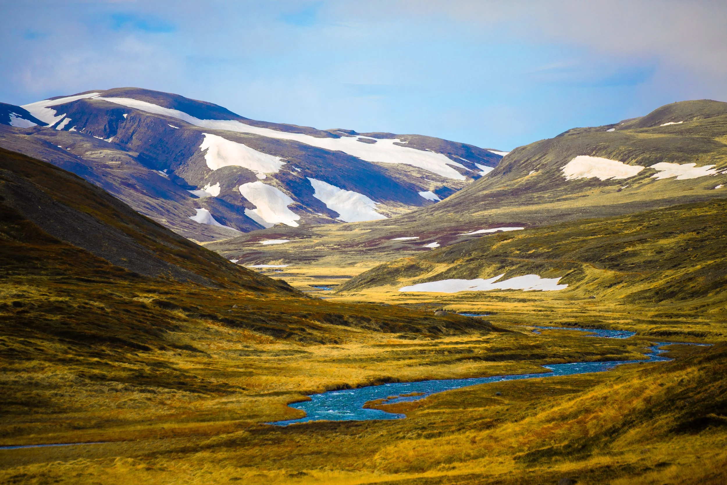 Roadside Landscape in Iceland