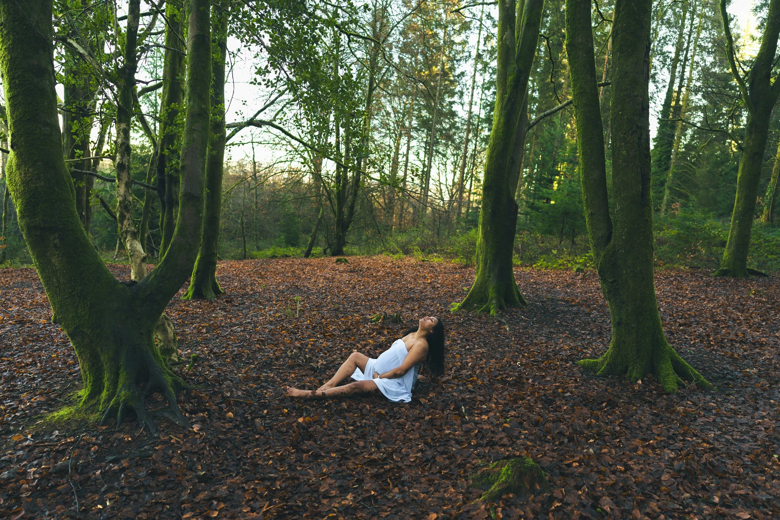 A woman in a white dress reclines on the forest floor surrounded by tall moss-covered trees with leaves scattered on the ground.