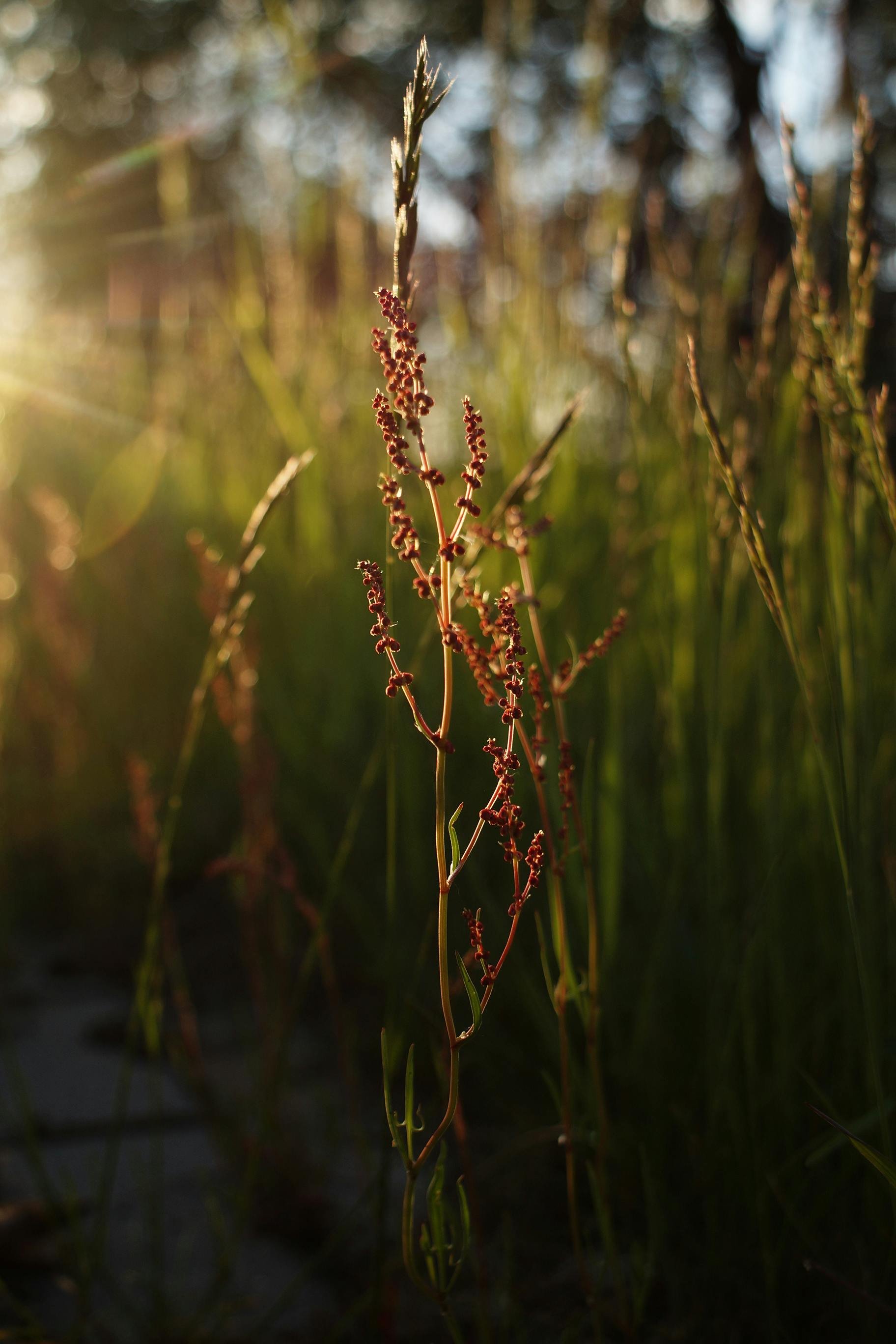 Curiosity as a Gateway: Why Wonder Matters in Healing