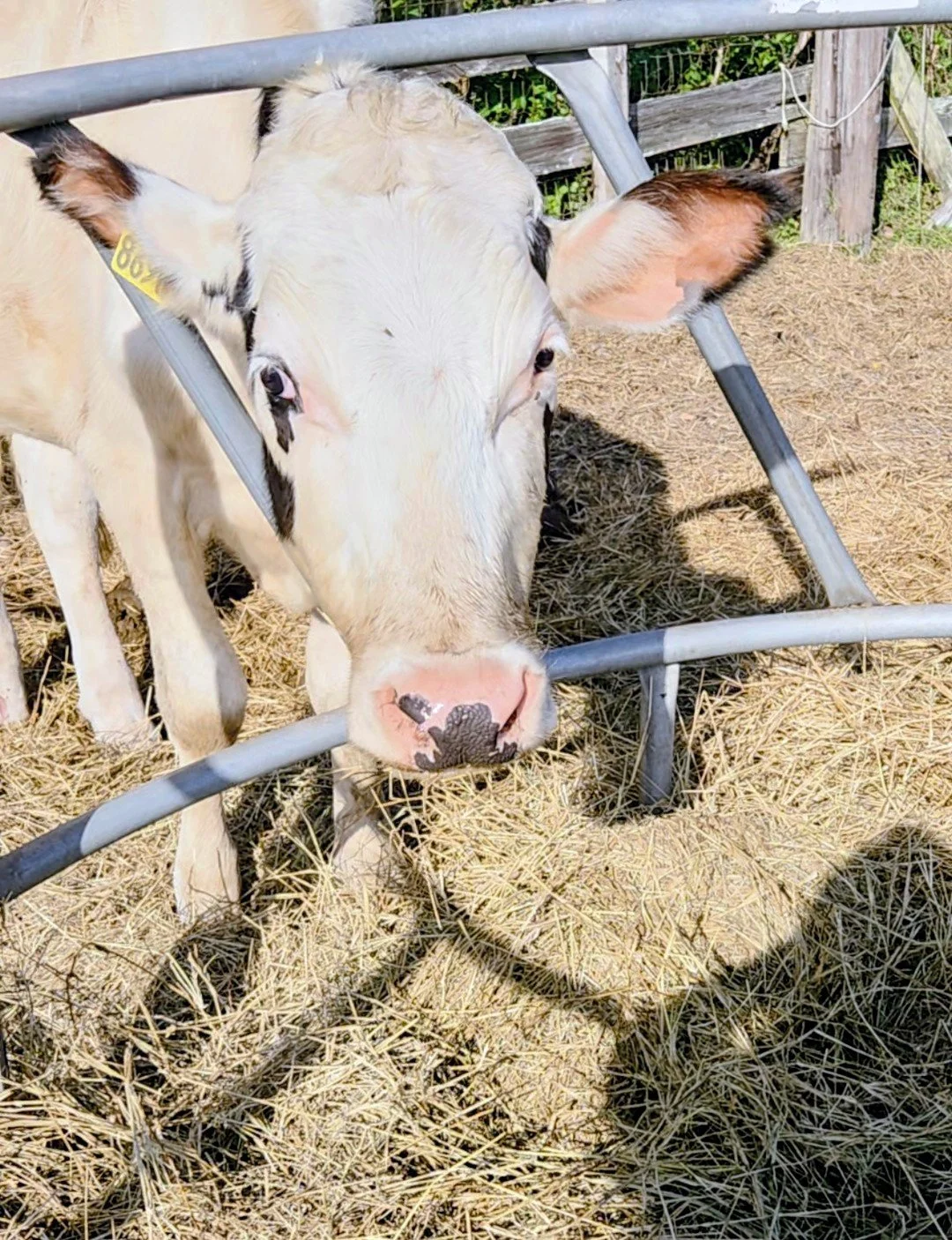 Farm School Program
