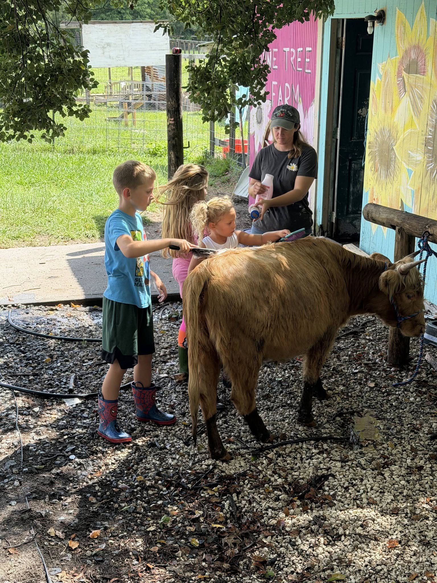 One hour Farm Class