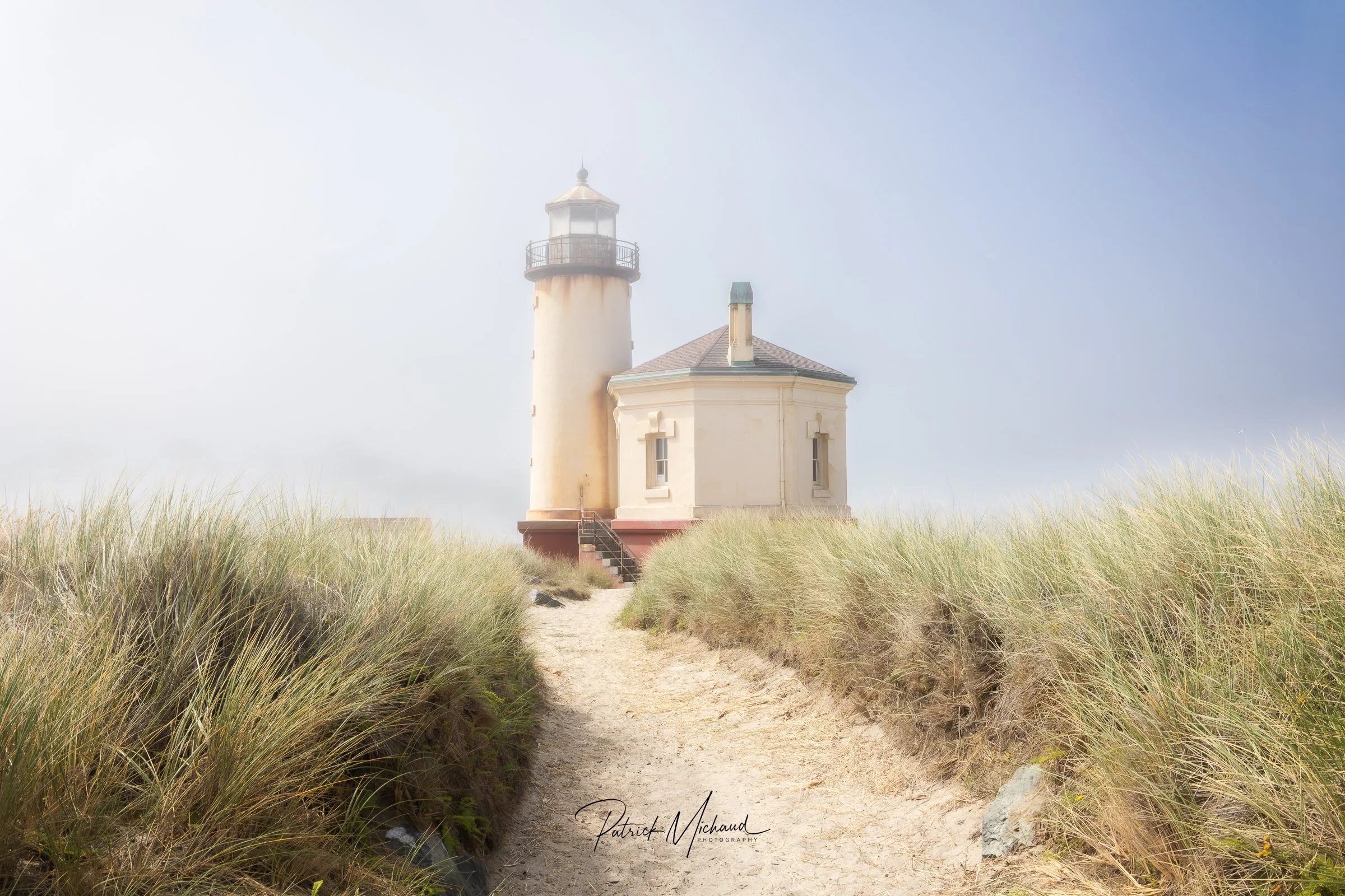 CRLH fog grass WS Gallery and sell.jpg