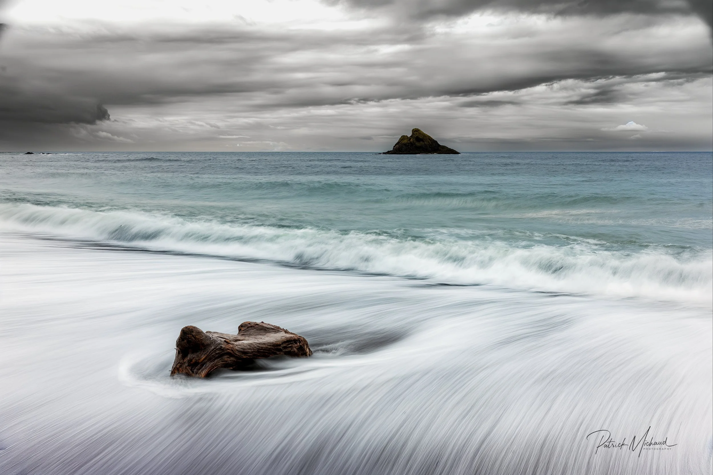 driftwood LE Sighned.jpg