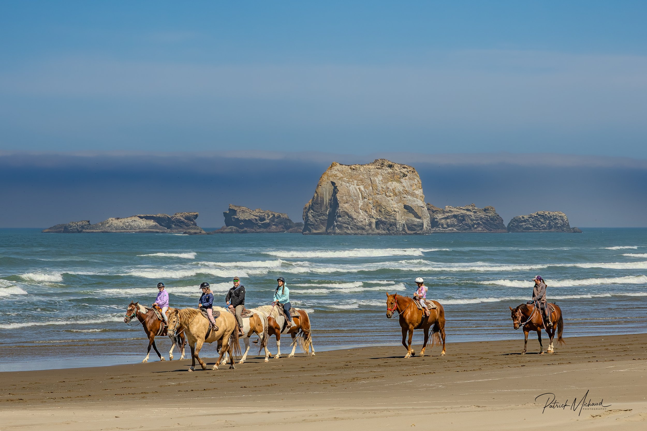 horses print -5.jpg