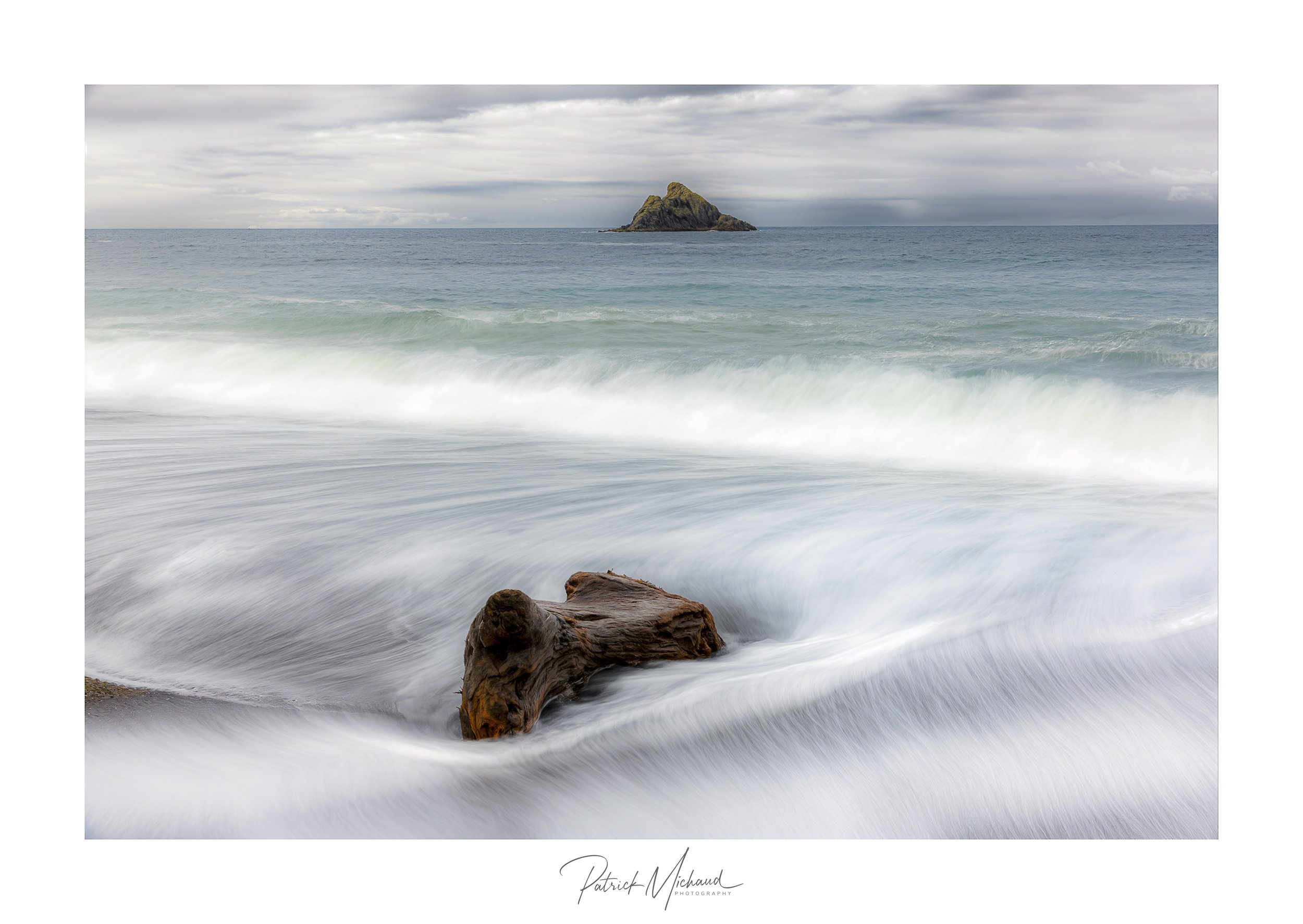 Driftwood LE agate Beach.jpg