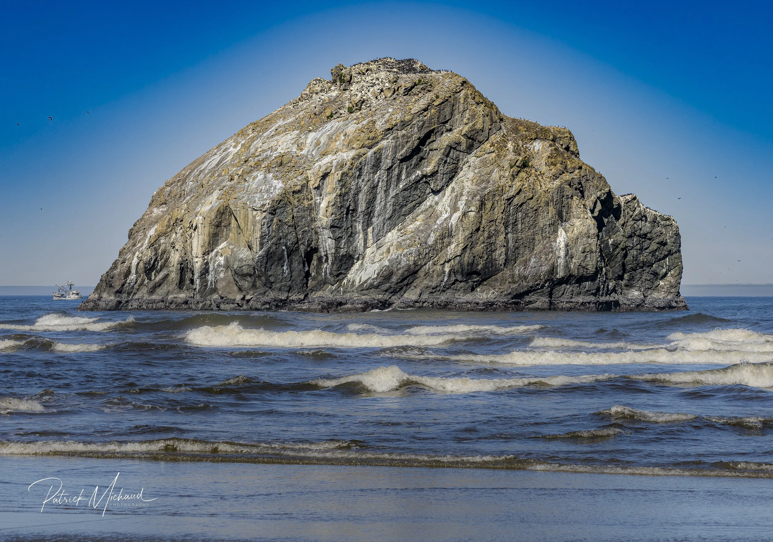 FR for website bandon-3.jpg