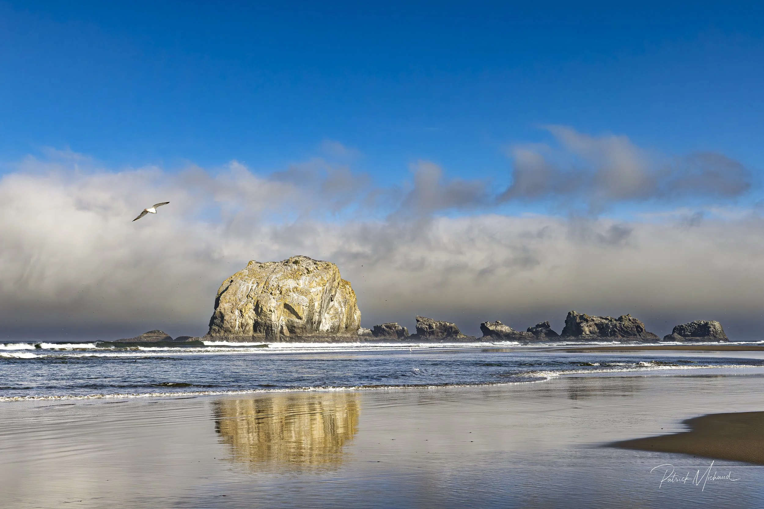 FR for website bandon-7.jpg