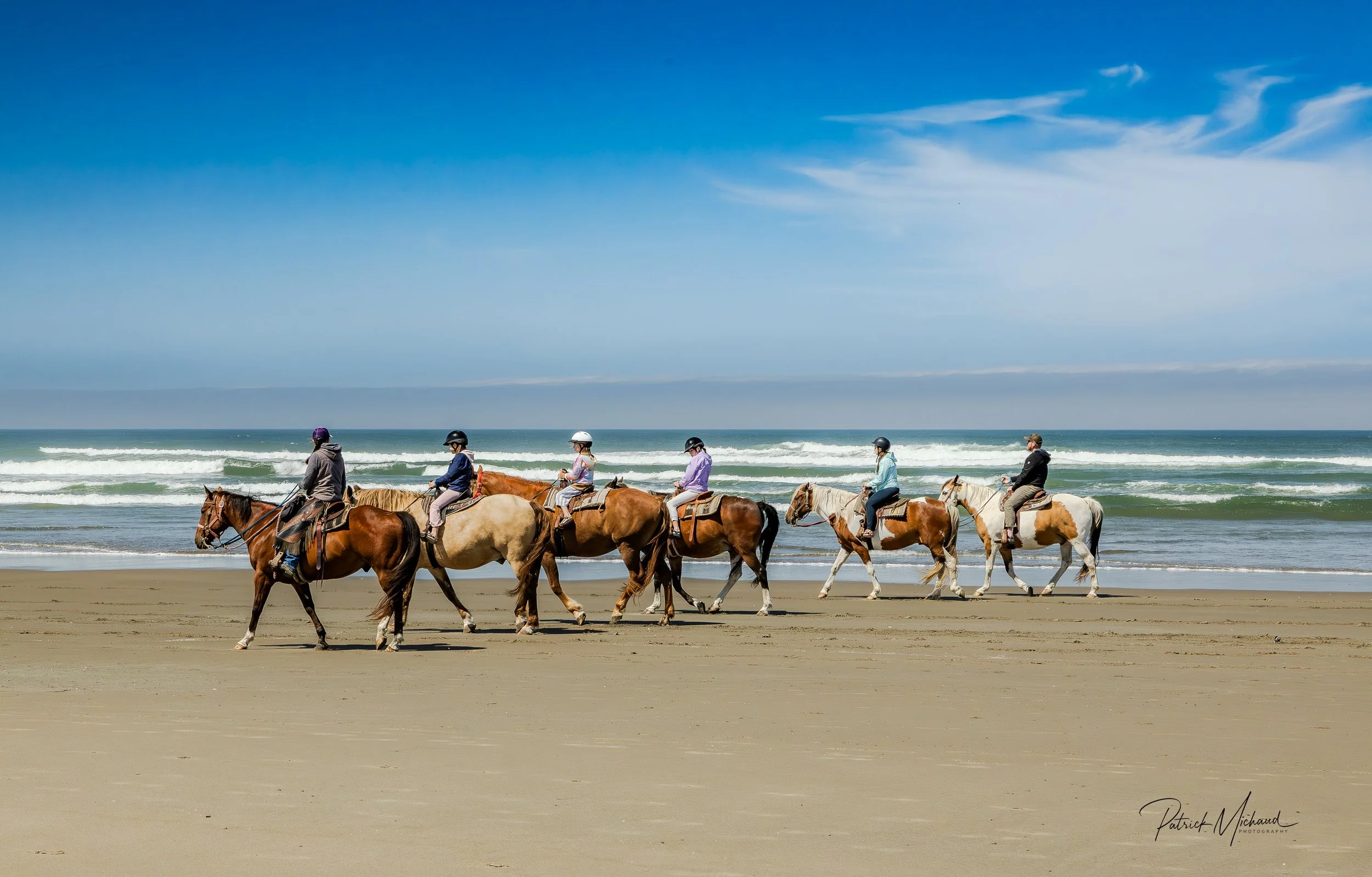 horses print -6.jpg