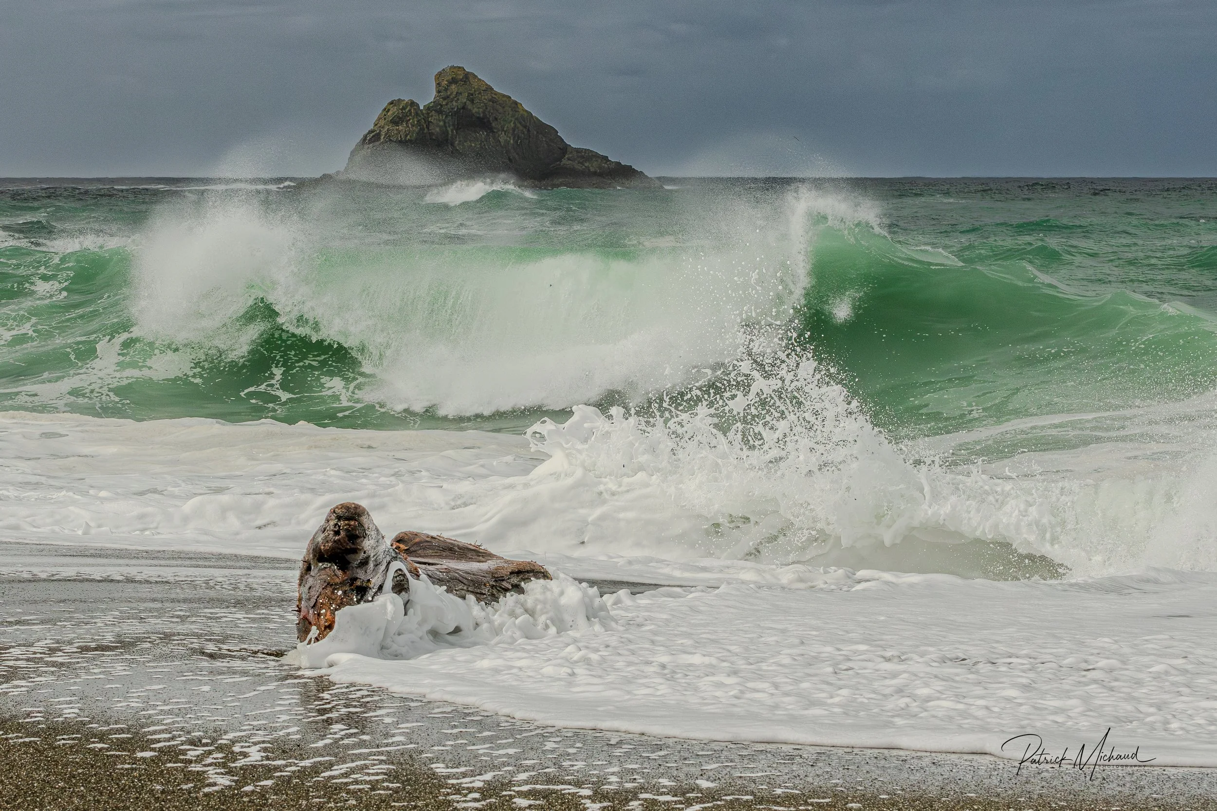 driftwood wave LE Sighned.jpg