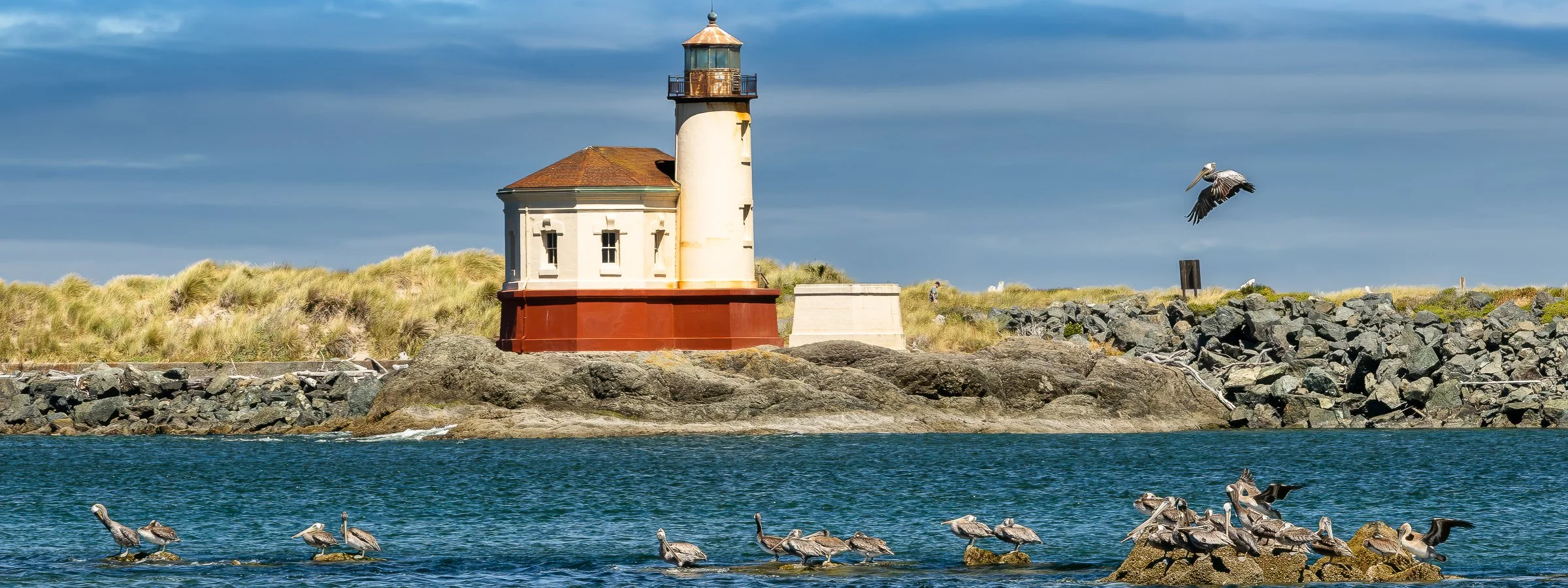 Coquille River Lighthouse Pelicans Facebook Cover
