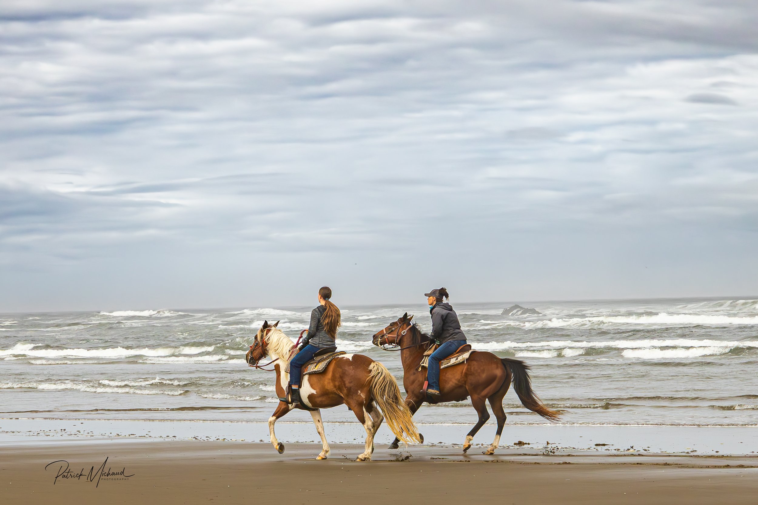 horses print -3.jpg