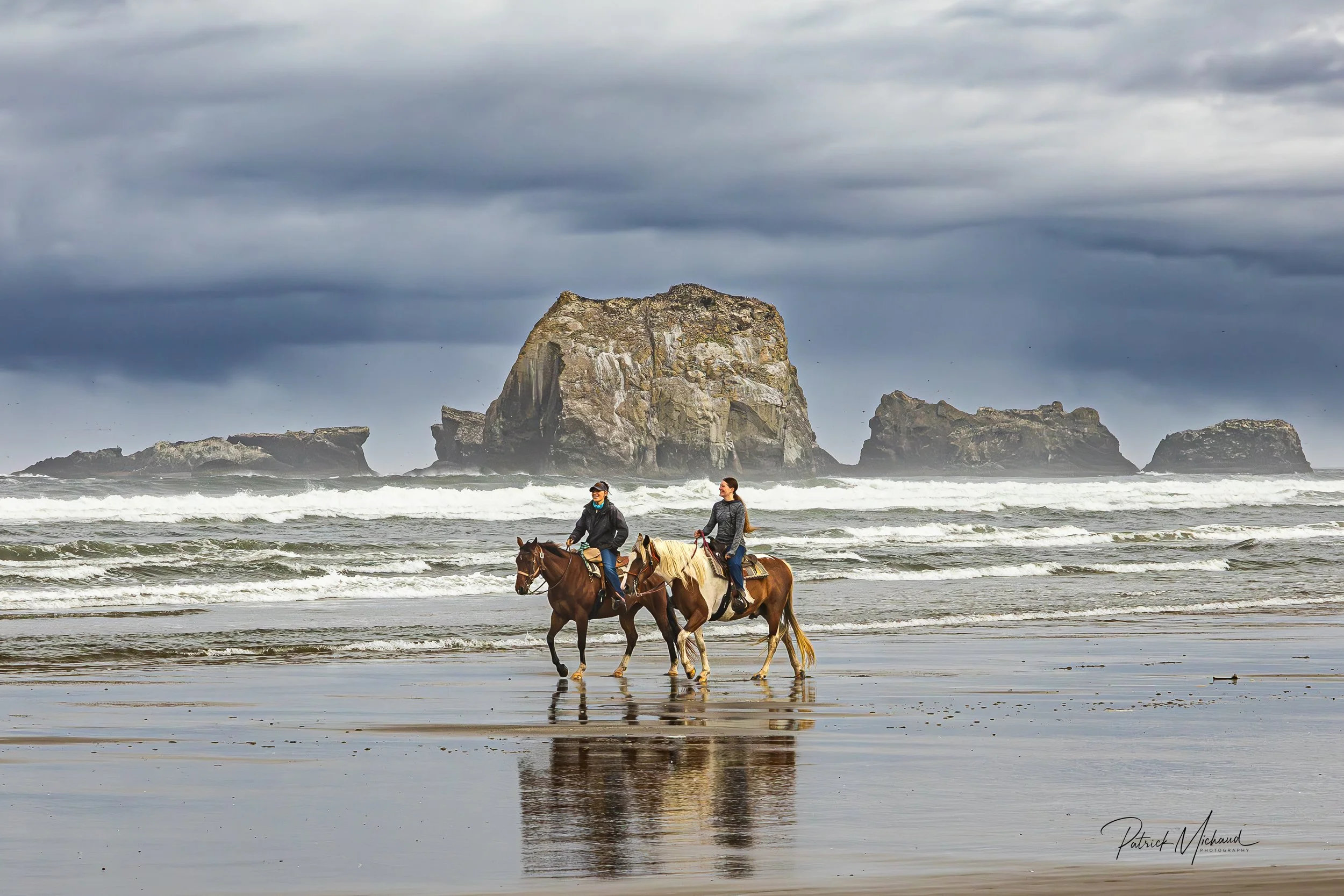 horses print -2.jpg