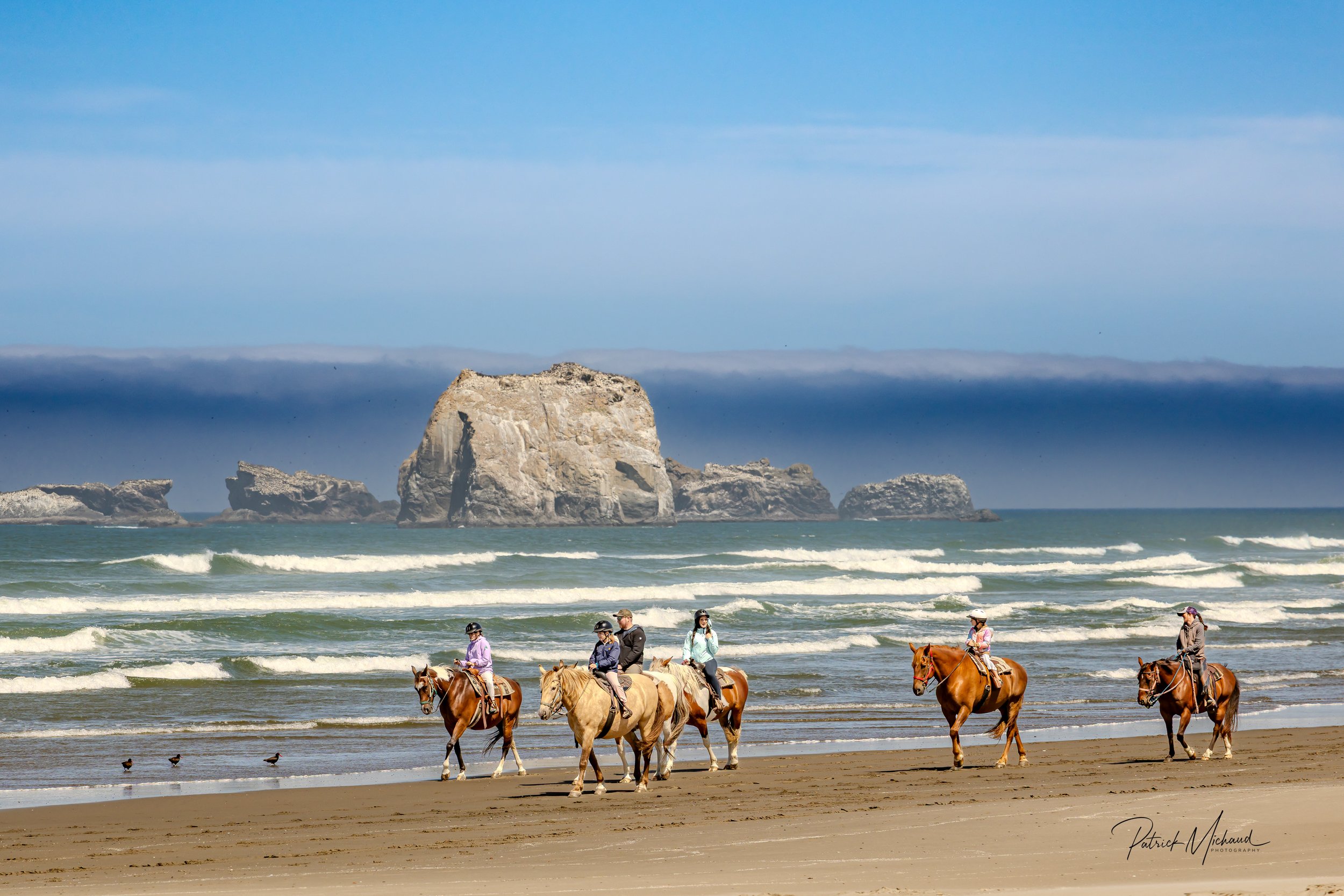 horses print -7.jpg