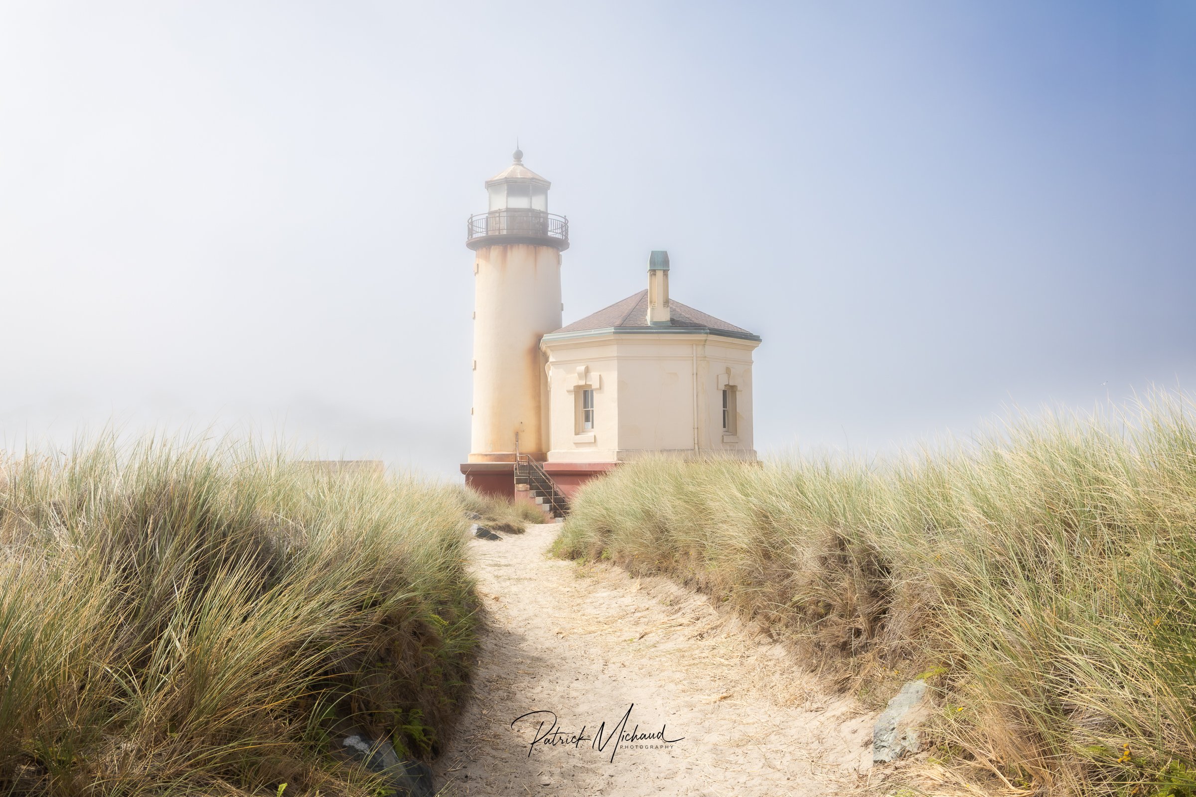 CRLH fog grass WS Gallery and sell.jpg