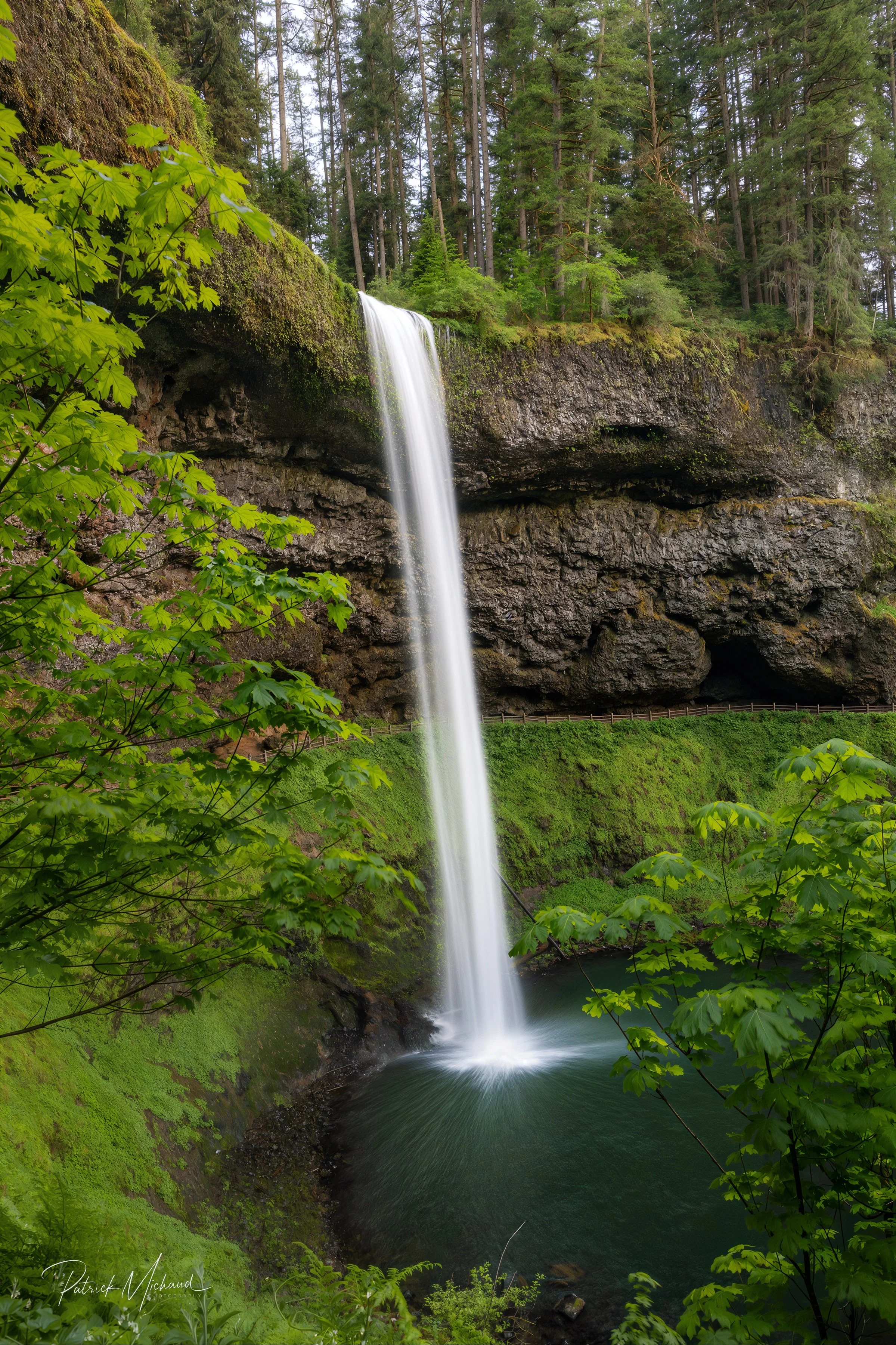 Silver Falls vertical social.jpg