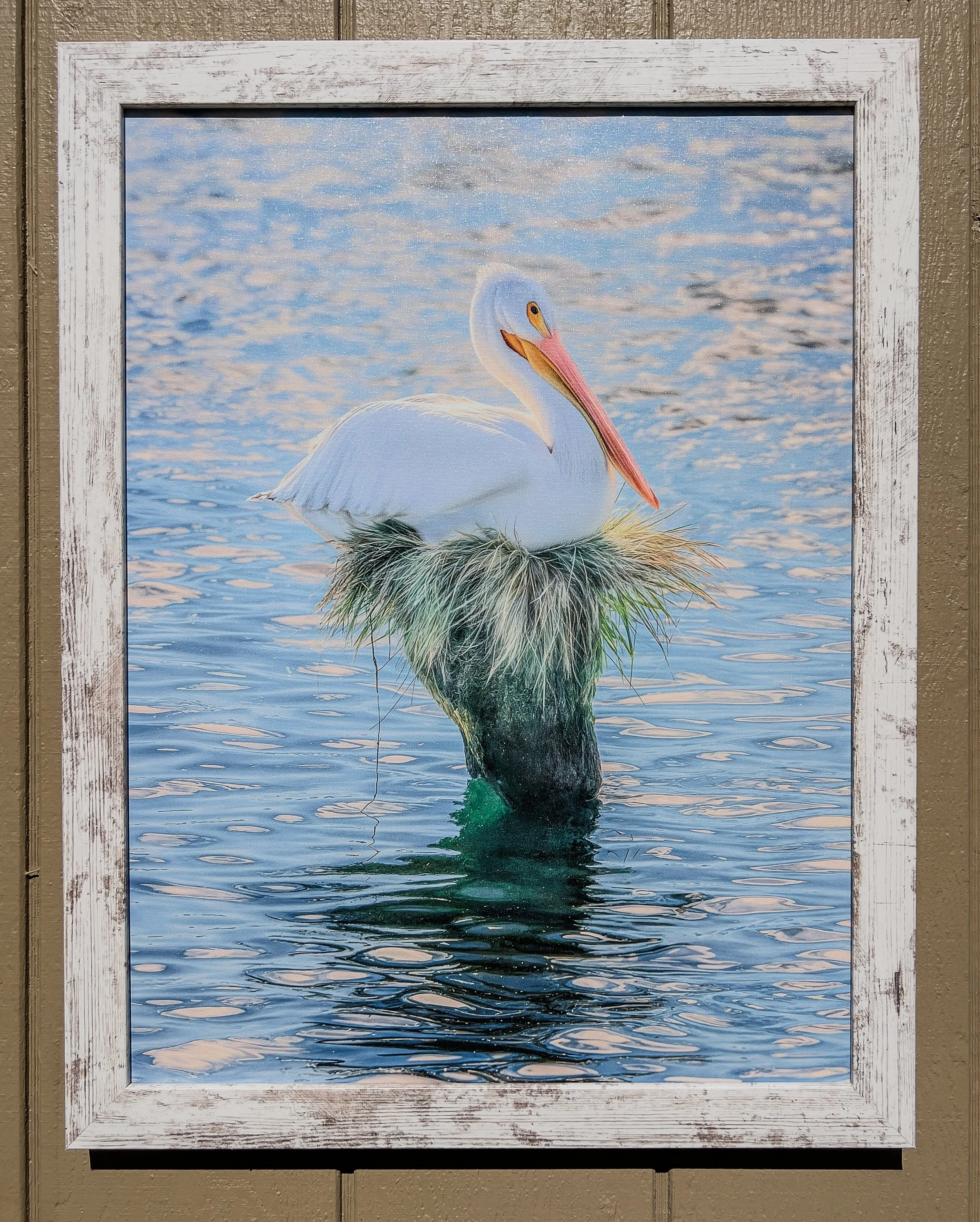 pelican place holder framed.jpg