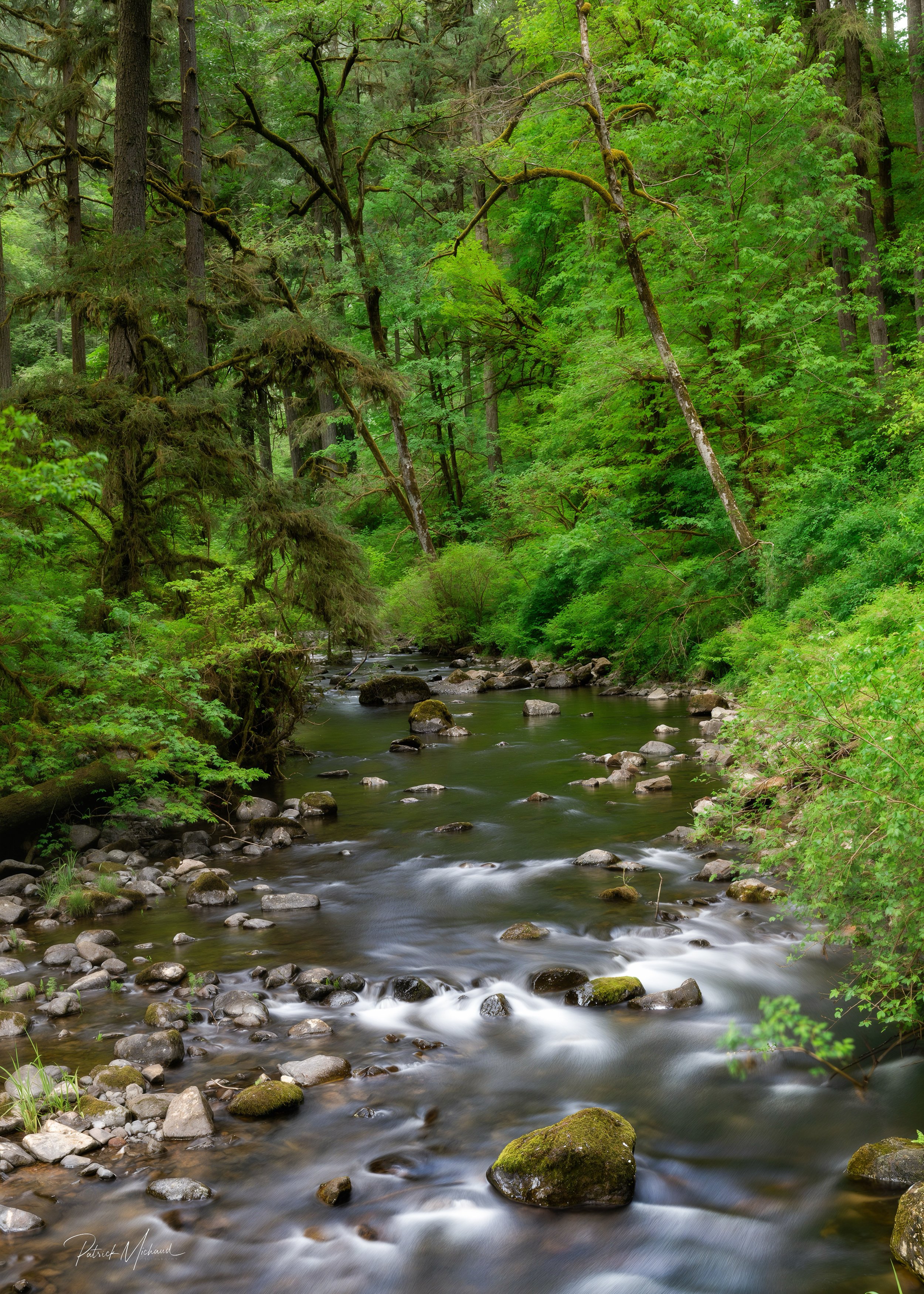 Silver Creek at Silver Falls-1.jpg