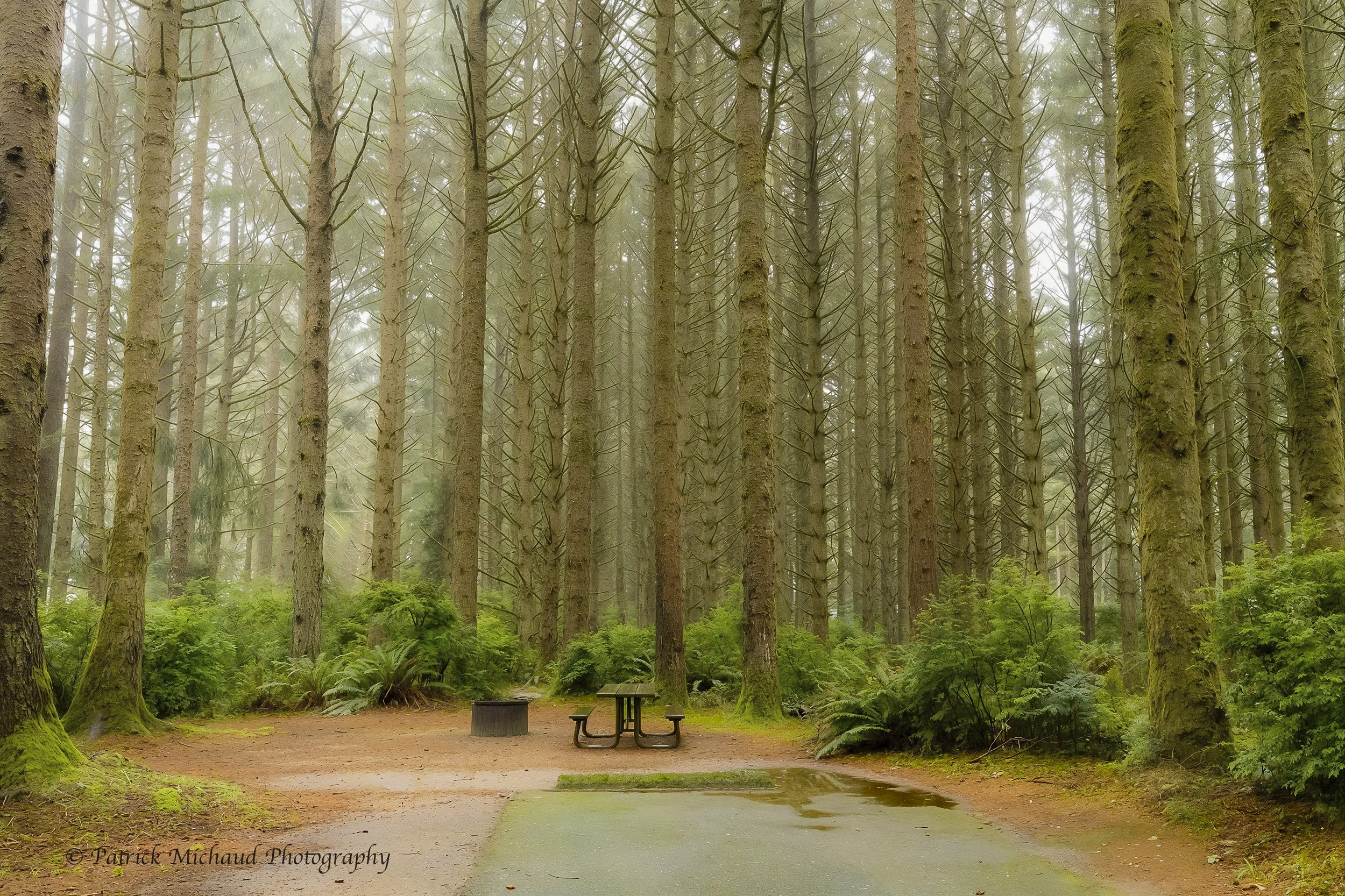 Cape Blanco Campsite
