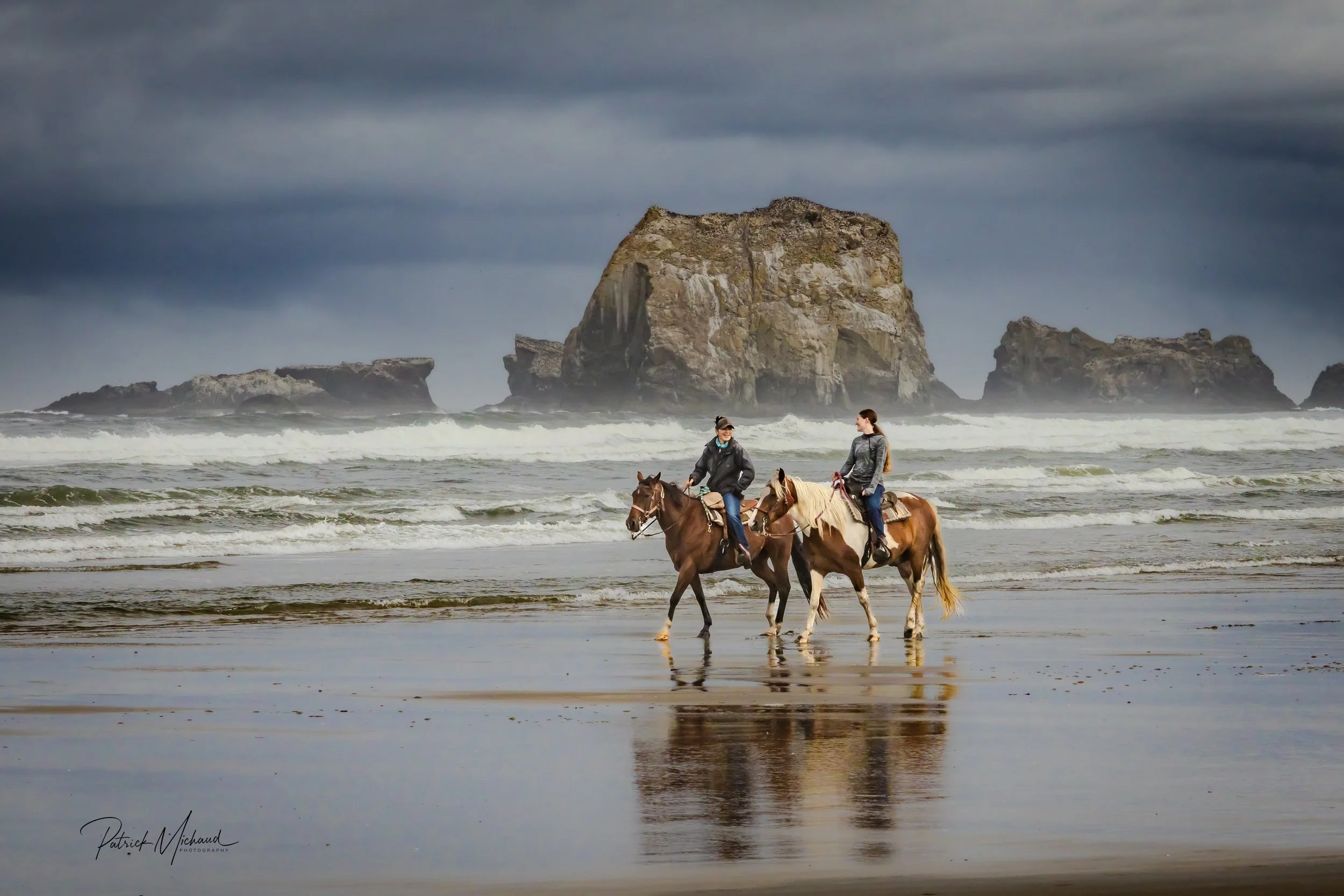 horses print -4.jpg