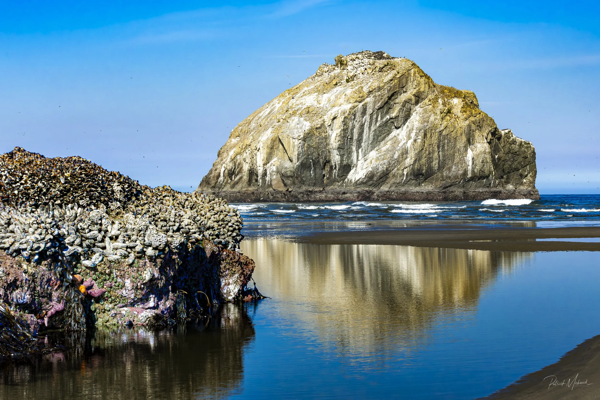 FR for website bandon-4.jpg