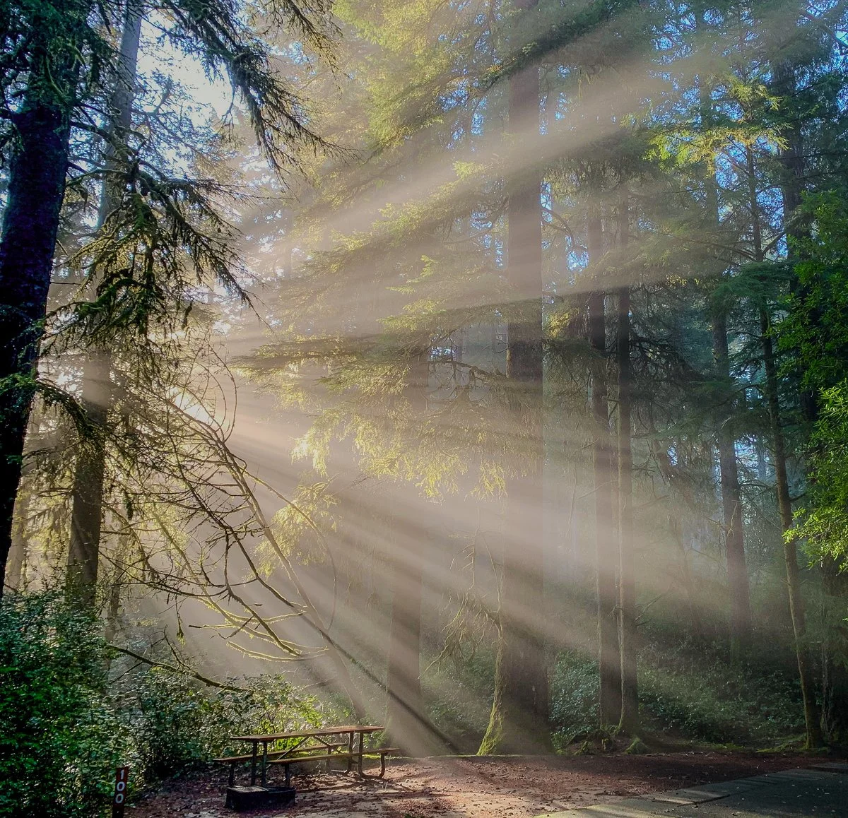 Campsite 100 display.jpg