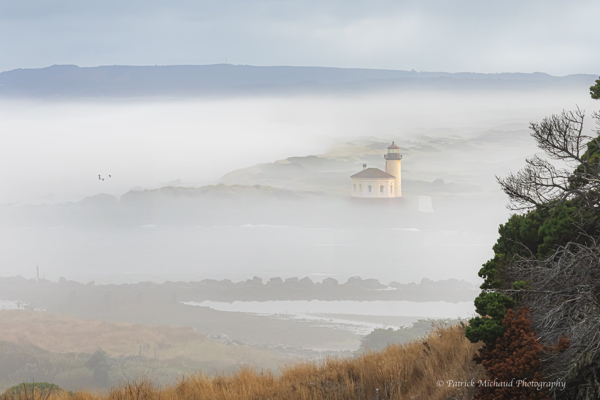 CRLH Foggy Sunday Morning WS.jpg