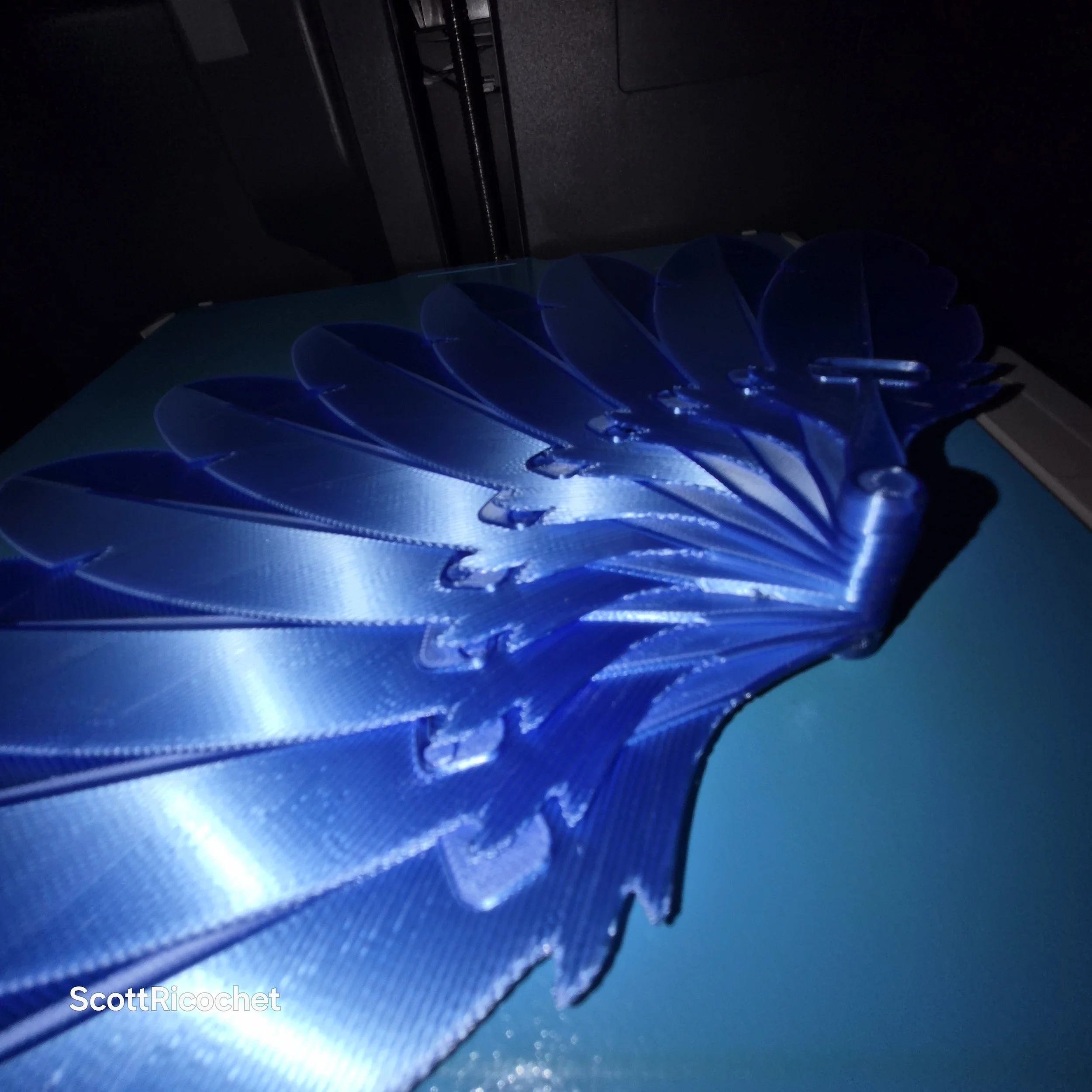 20260705_210048BlueFan.jpg