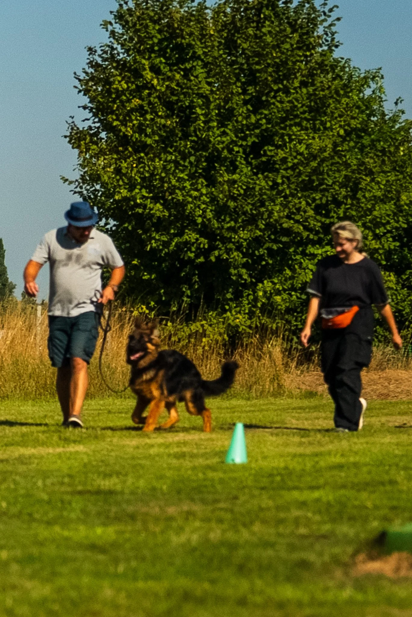 A man and a woman walking on a grassy field with a German Shepherd dog, with a large tree and blue sky in the background.