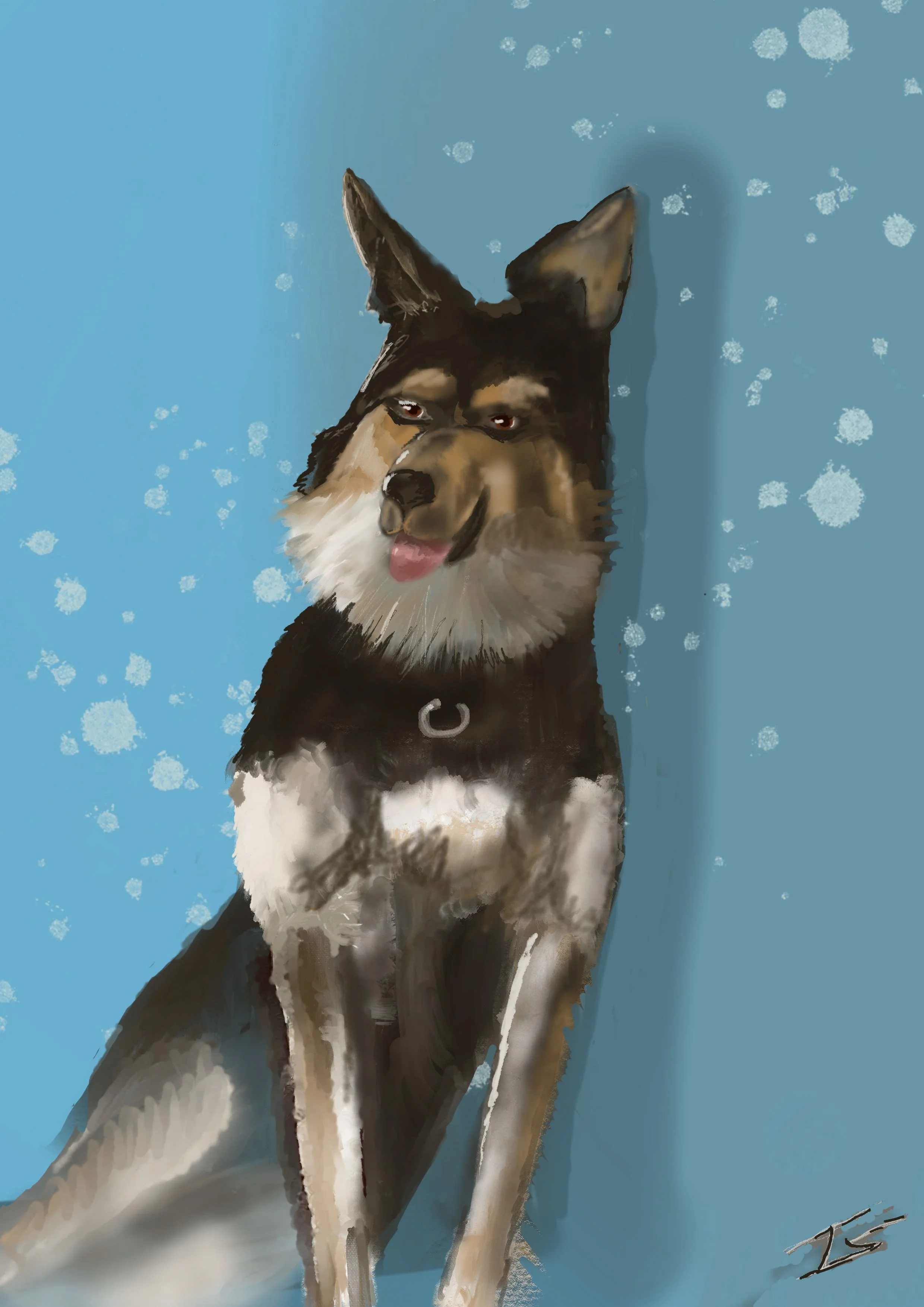 Digital painting of a Siberian Husky dog with a black and tan coat, sitting next to a blue wall with snowflake decorations, sticking out its tongue.