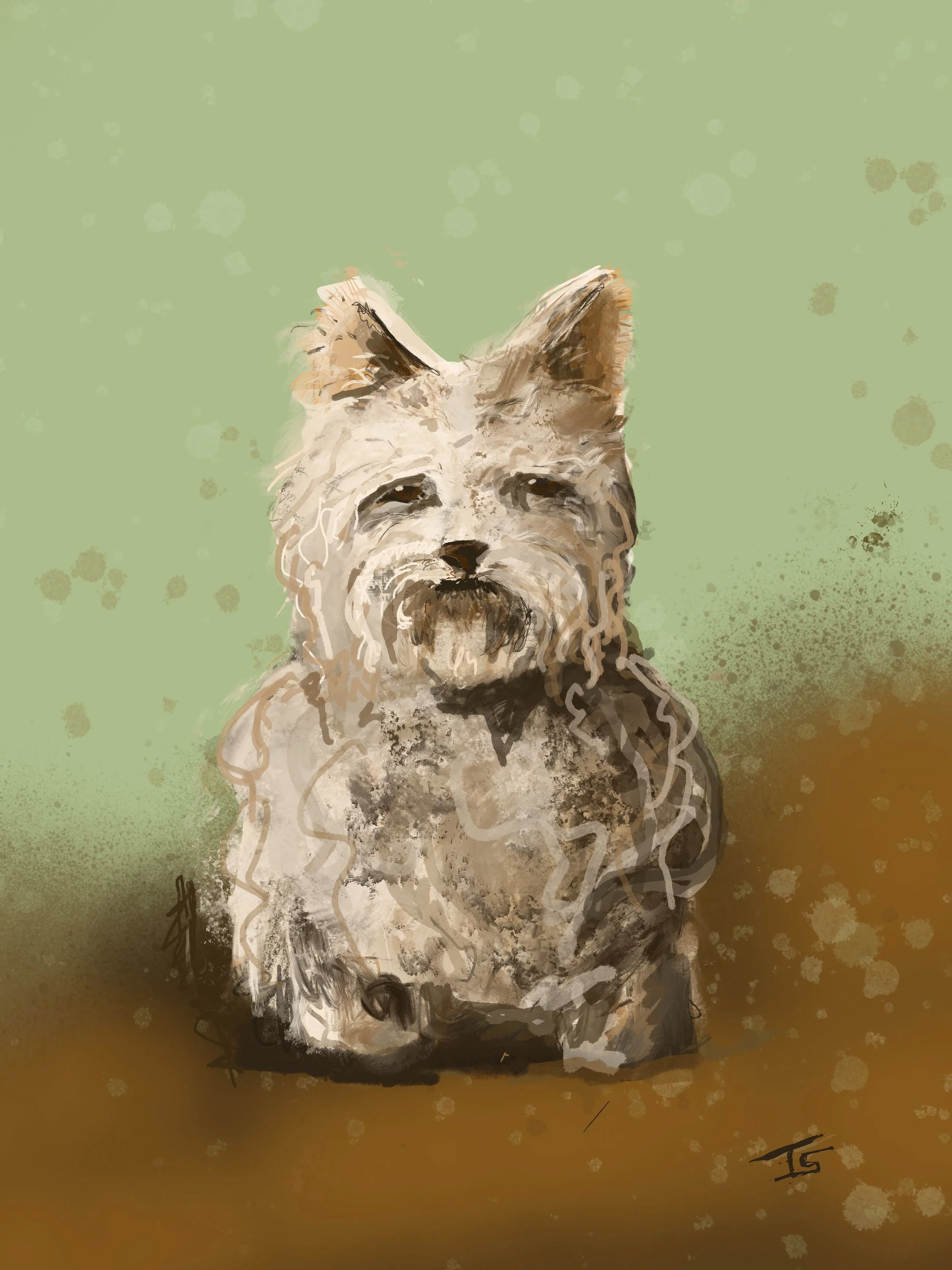 Digital painting of a small dog with shaggy fur and a slightly mischievous expression, sitting outdoors.