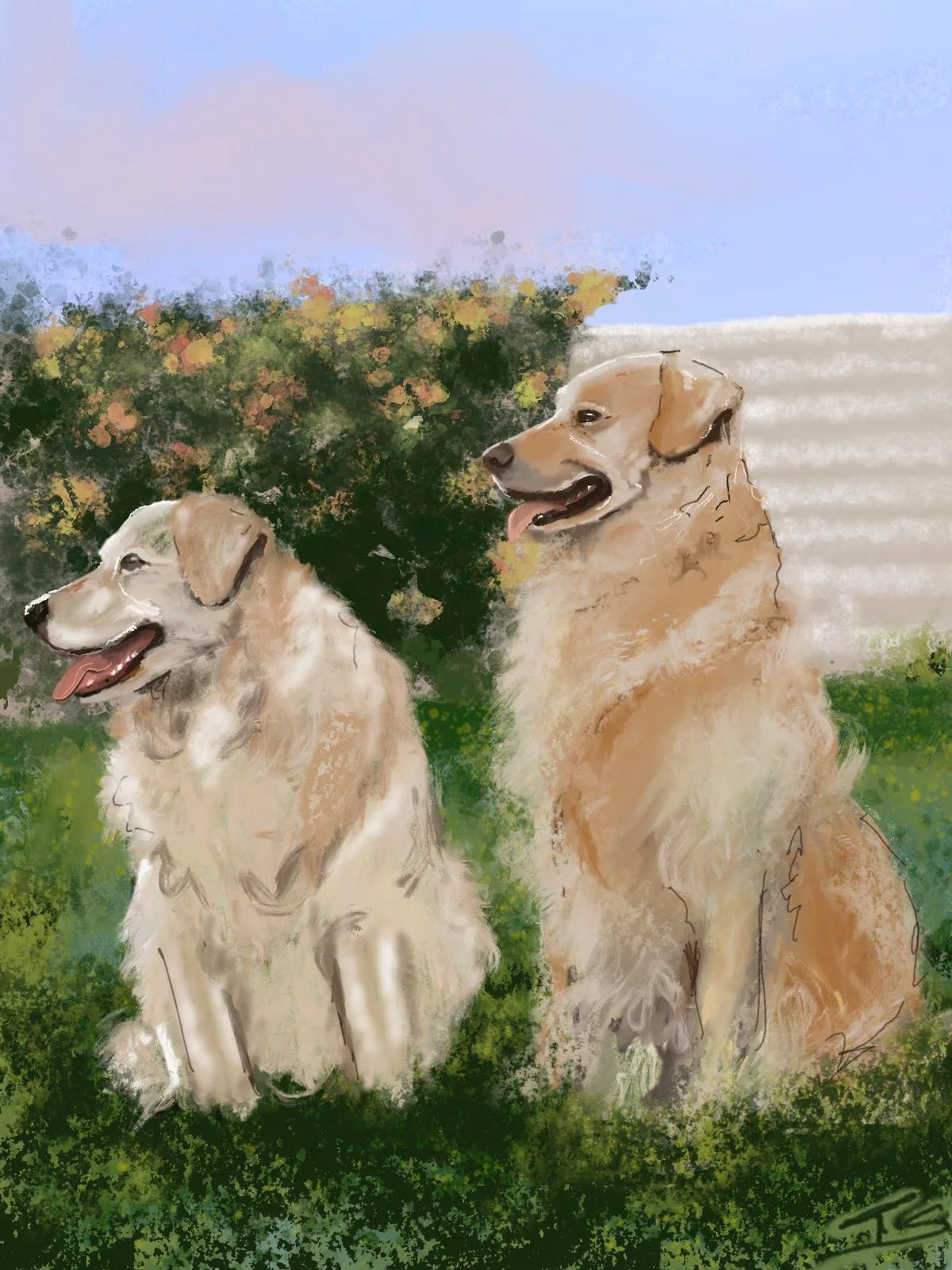Painting of two retriever dogs sitting outdoors with greenery and a white wall in the background.