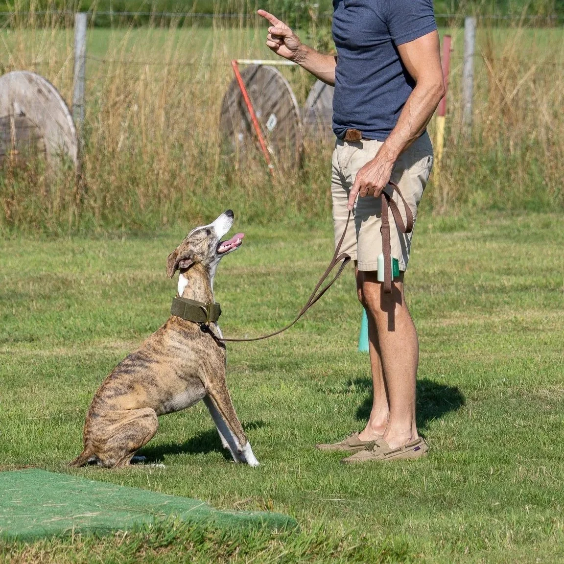 A person standing outdoors on grass, training a dog that is sitting and looking at the person.