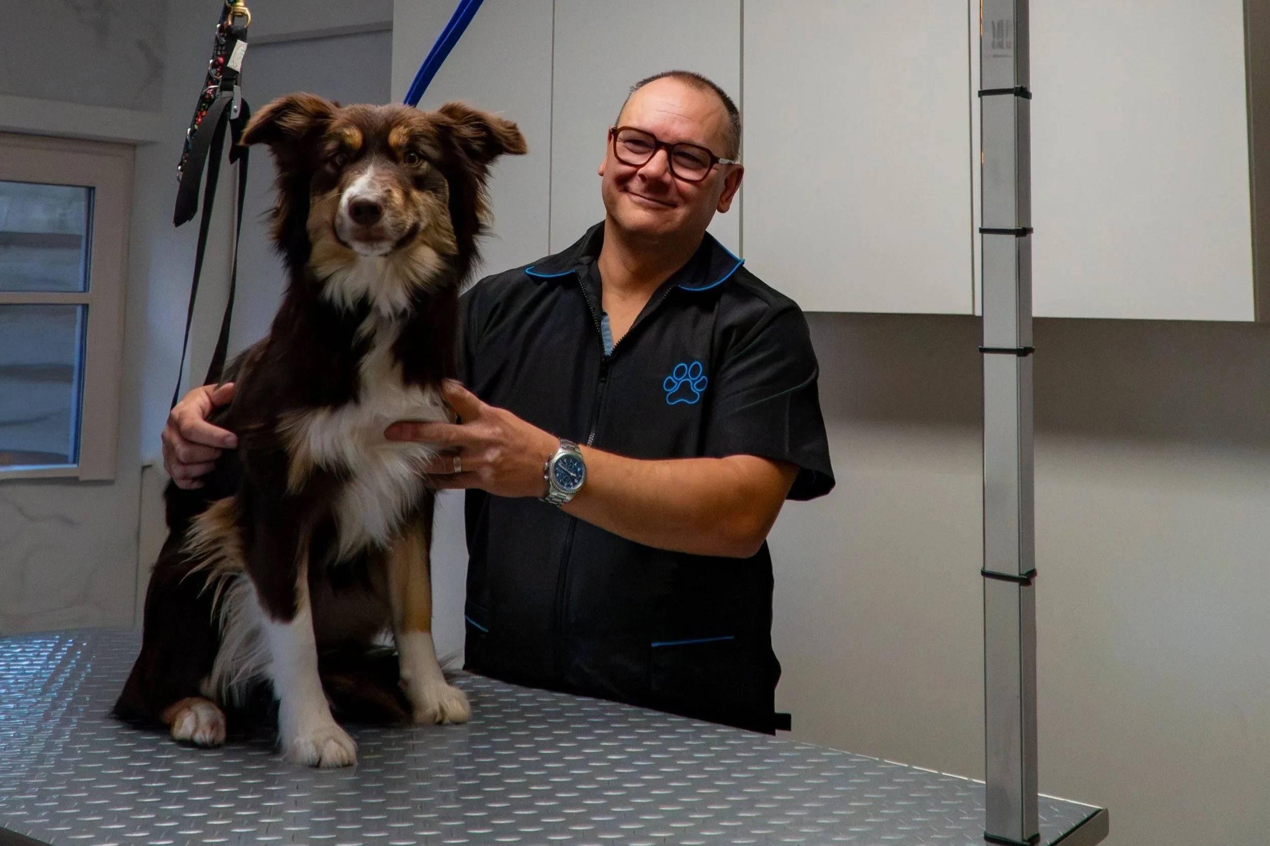 A veterinarian holding a dog on an examination table in a veterinary clinic.