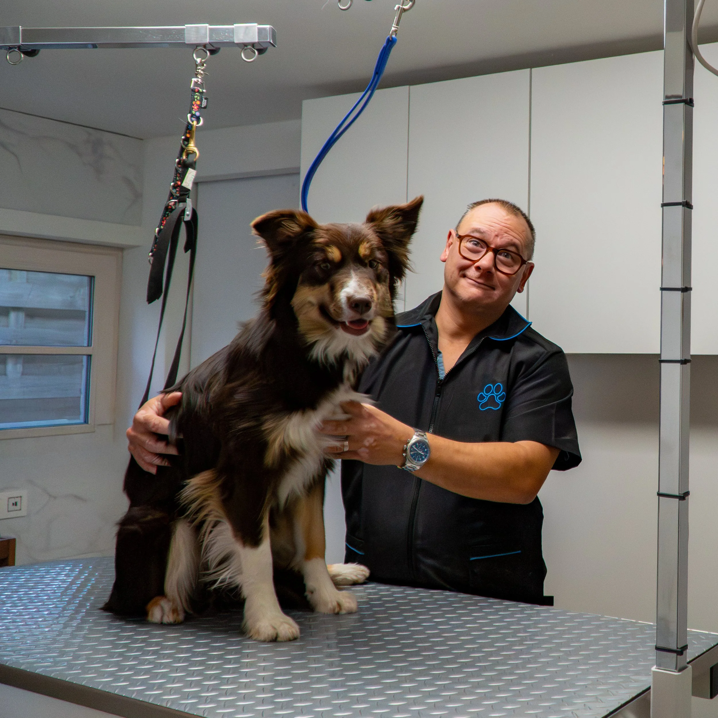 A man and a dog on a grooming table at a pet grooming salon. The man is holding the dog, which is a Border Collie with a happy expression. The background shows a window and cabinets.